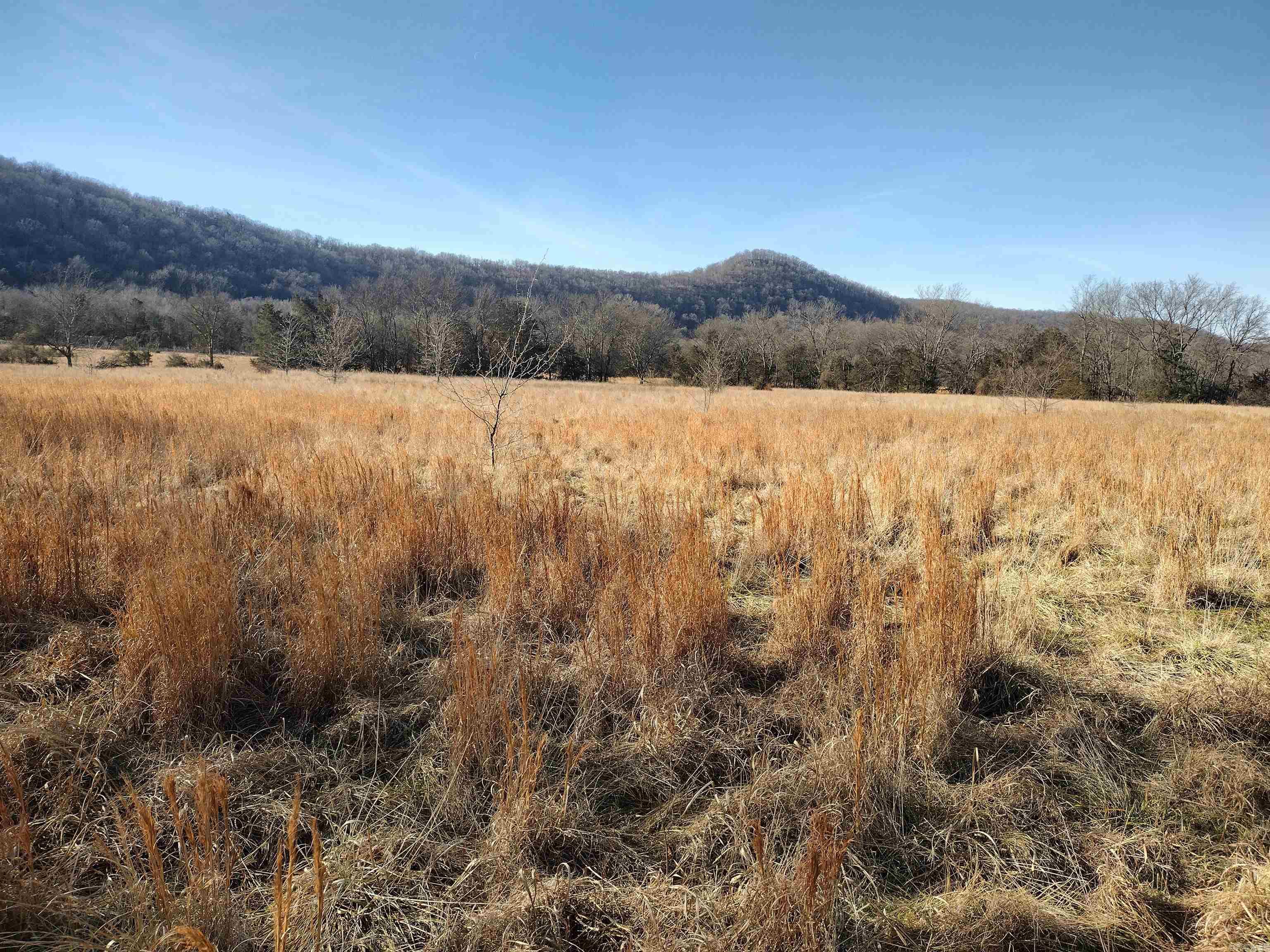 tract 5/6/7 HWY 14 e  Mountain View, AR