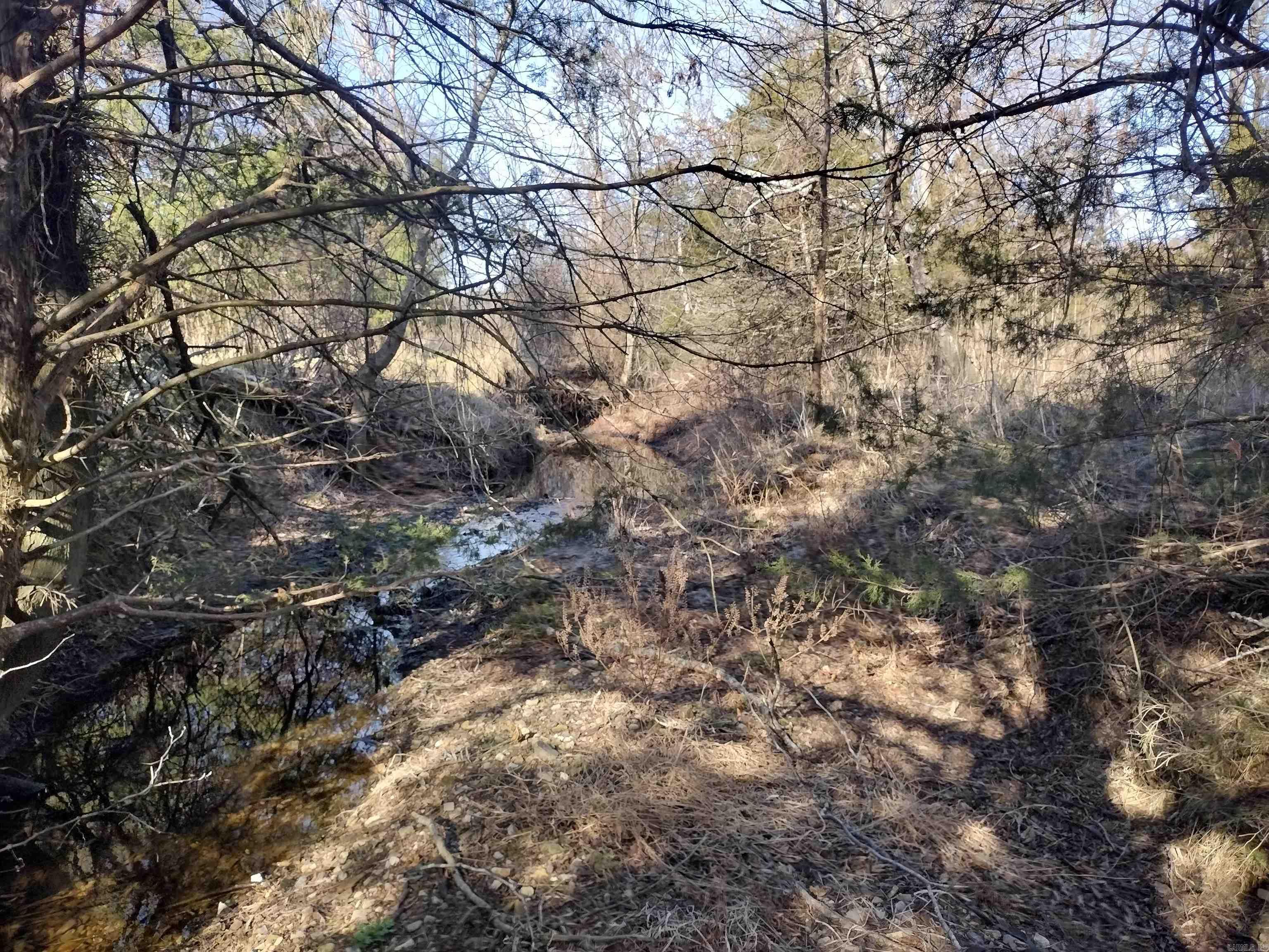 tract 5/6/7 HWY 14 e  Mountain View, AR