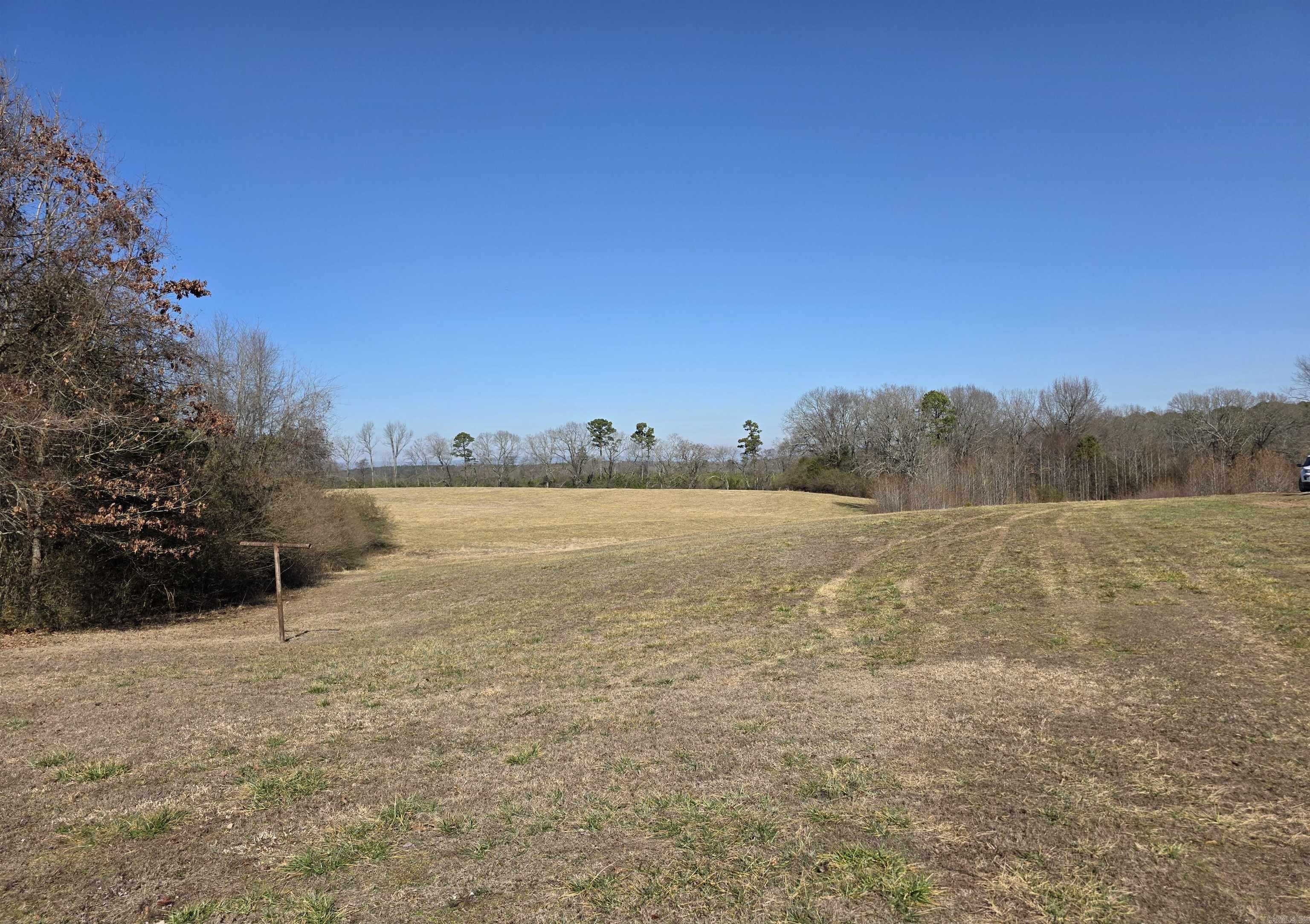 195 Polk Road 492  Cove, AR