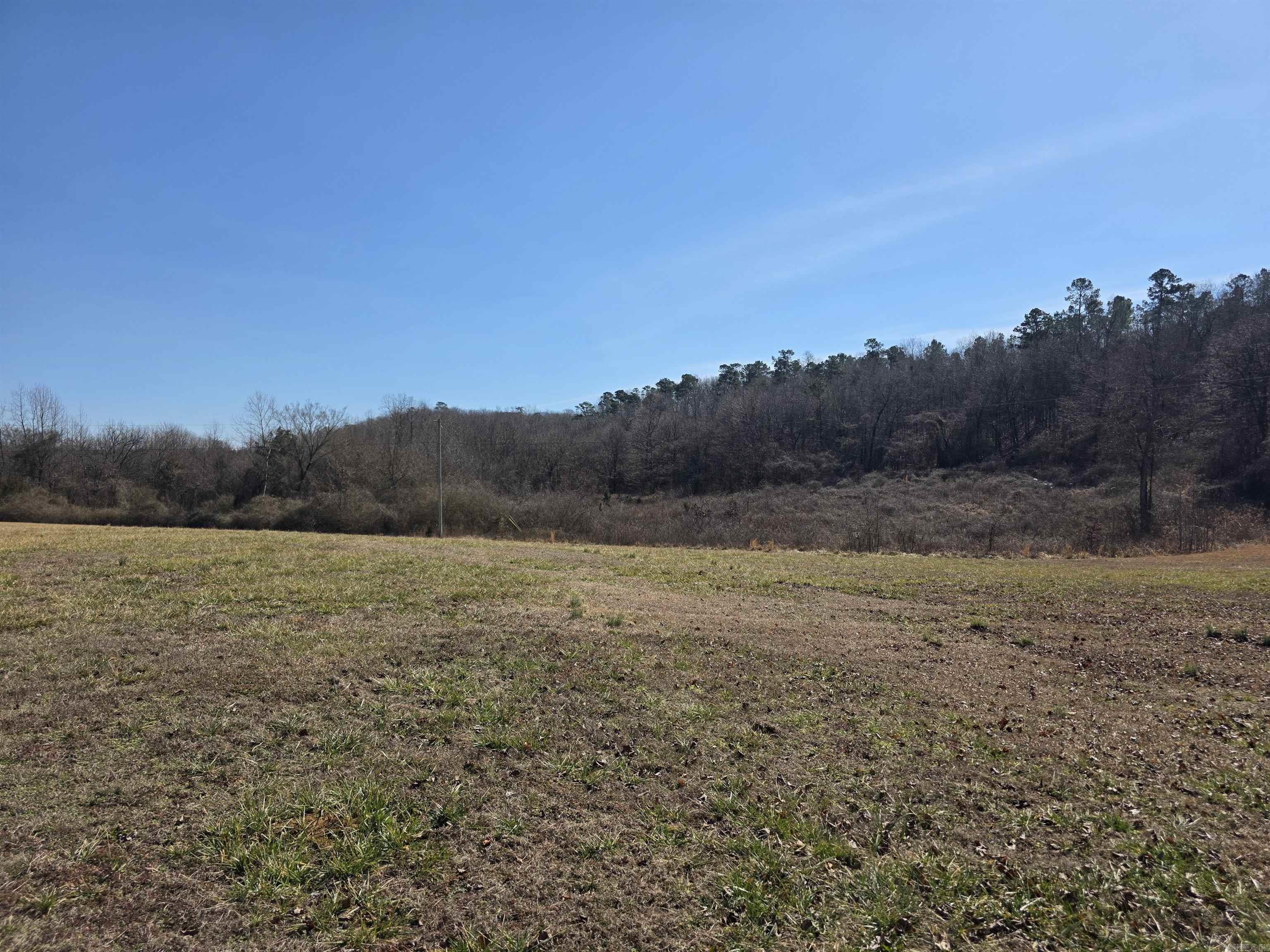 195 Polk Road 492  Cove, AR