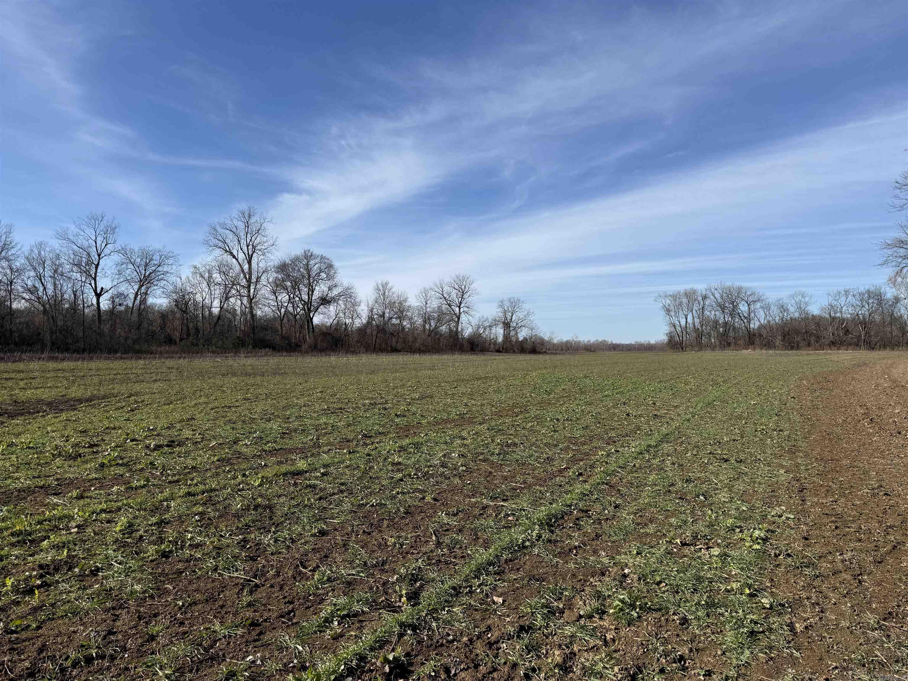 000 Wooruff CR 884  Augusta, AR