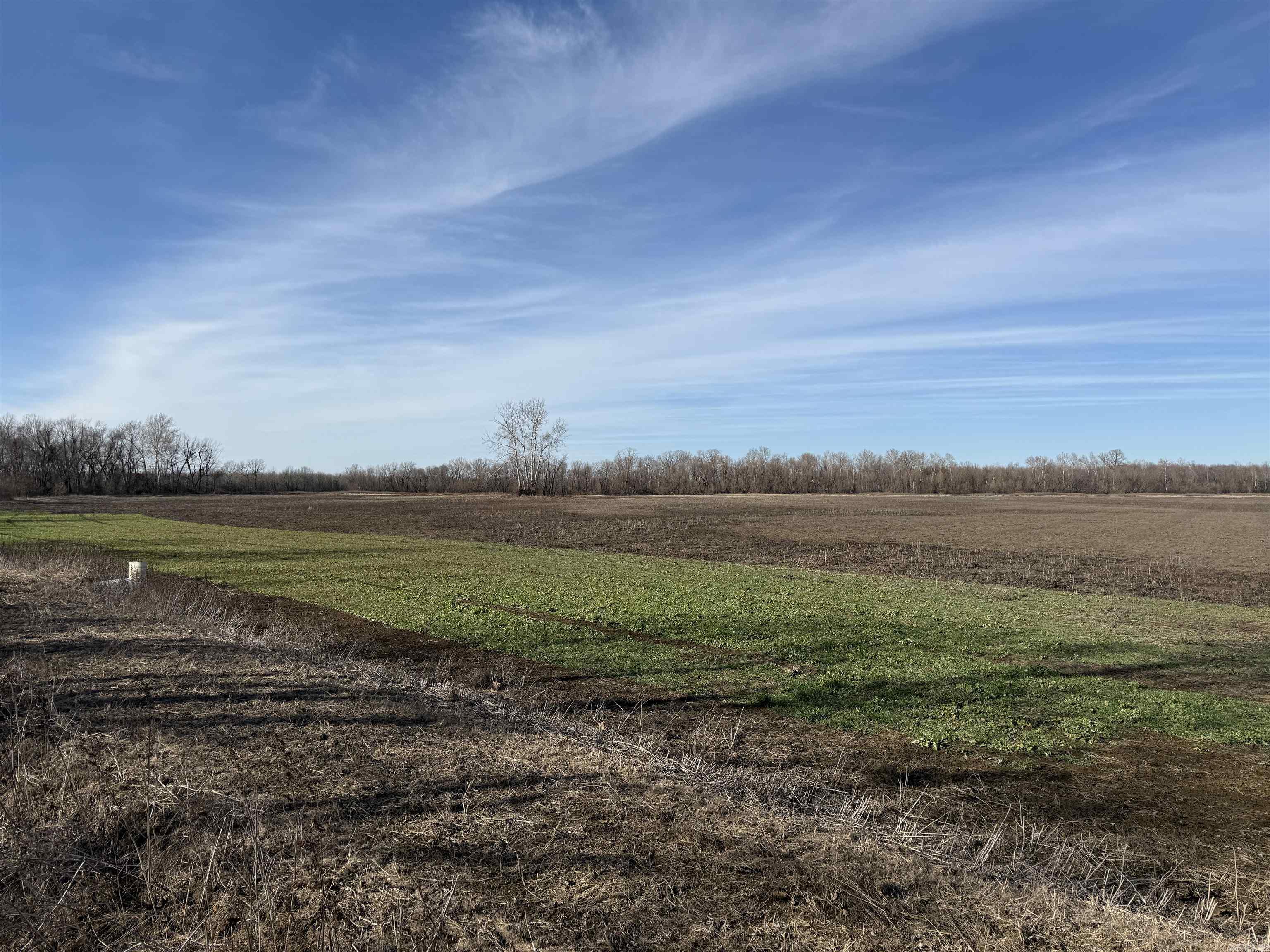 000 Wooruff CR 884  Augusta, AR