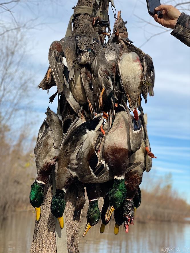 000 Wooruff CR 884  Augusta, AR