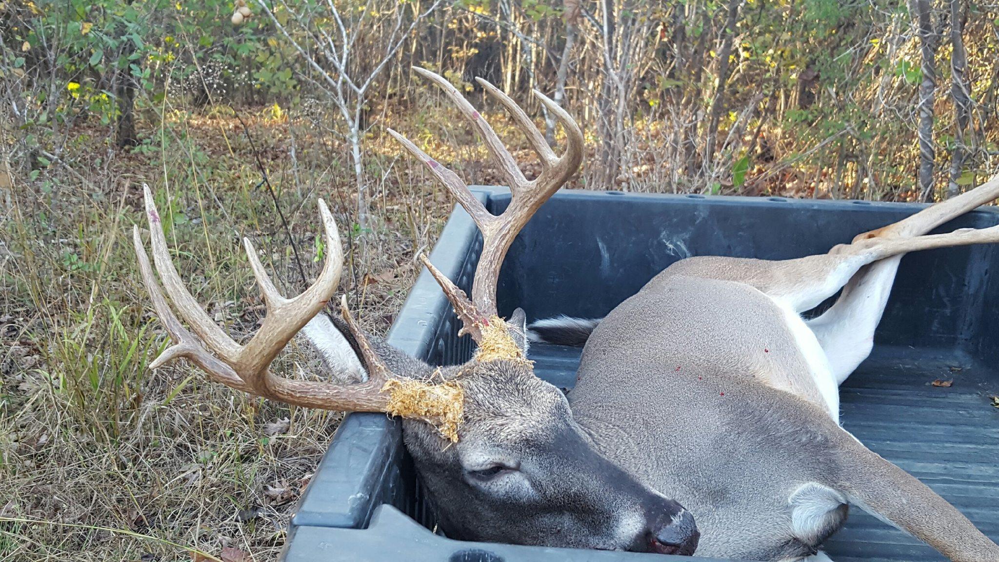 000 Wooruff CR 884  Augusta, AR