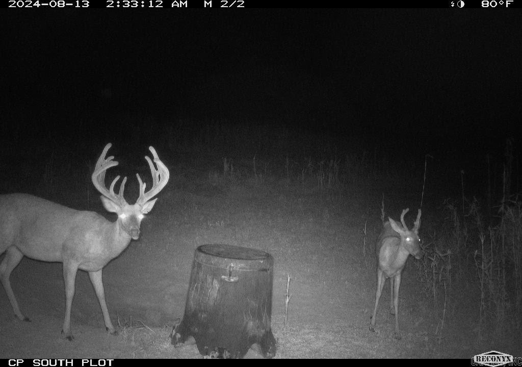 000 Wooruff CR 884  Augusta, AR