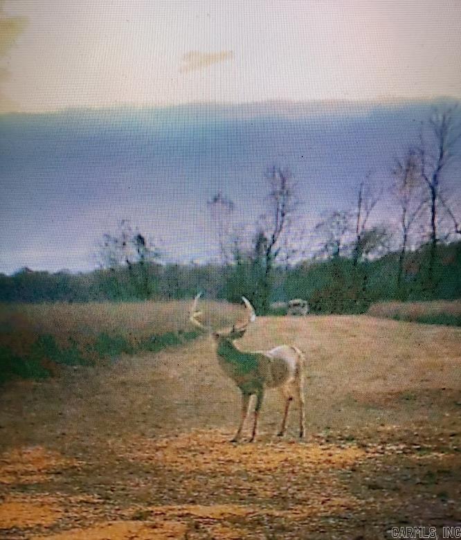 000 Wooruff CR 884  Augusta, AR