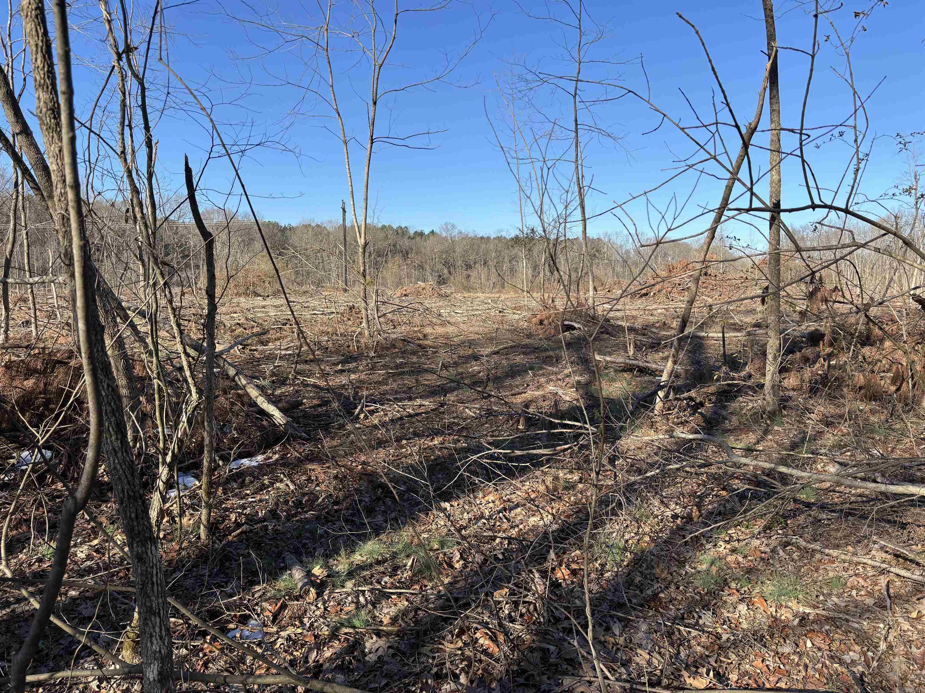 000 16 North  Albion, AR