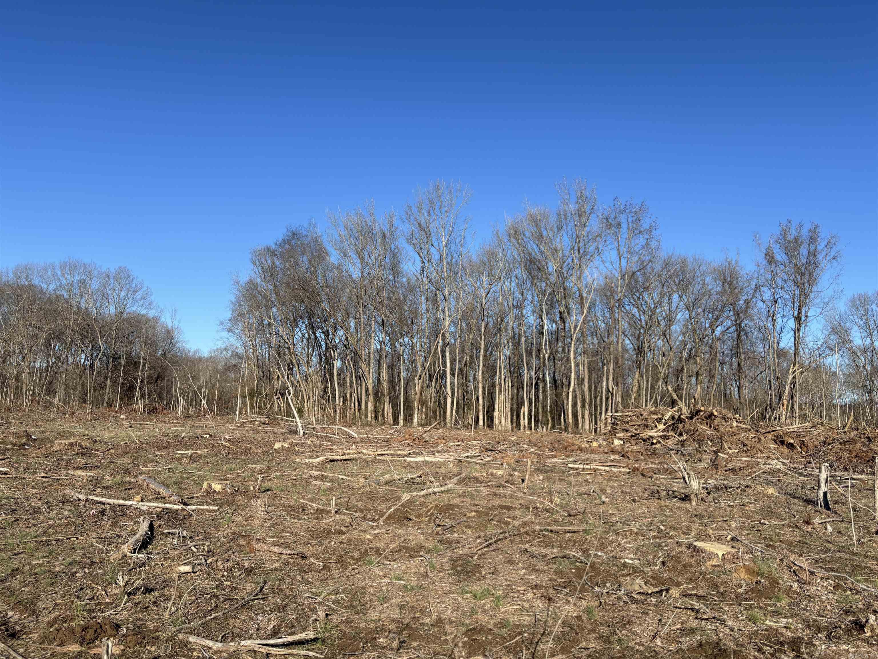 000 16 North  Albion, AR