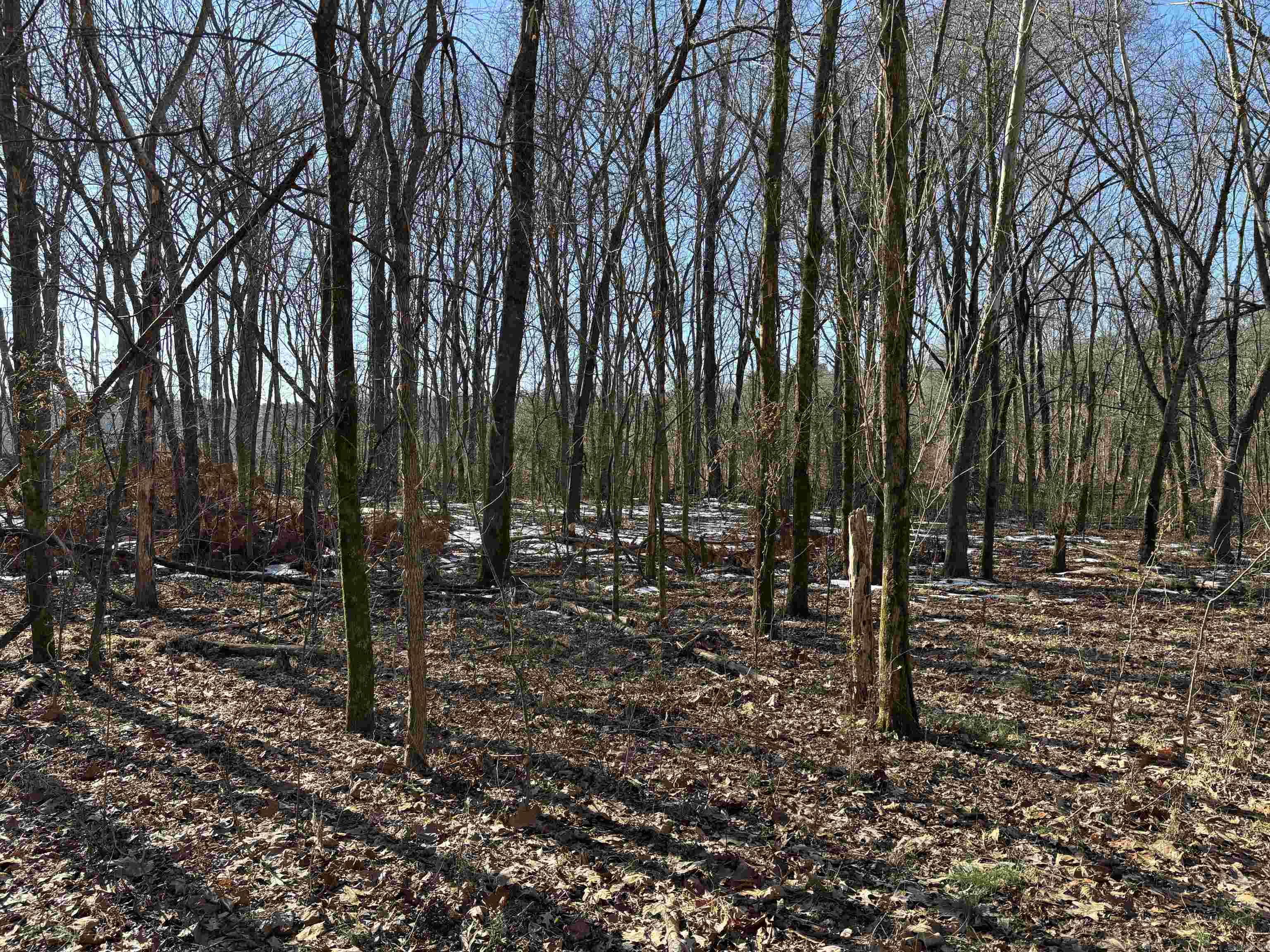 000 16 North  Albion, AR