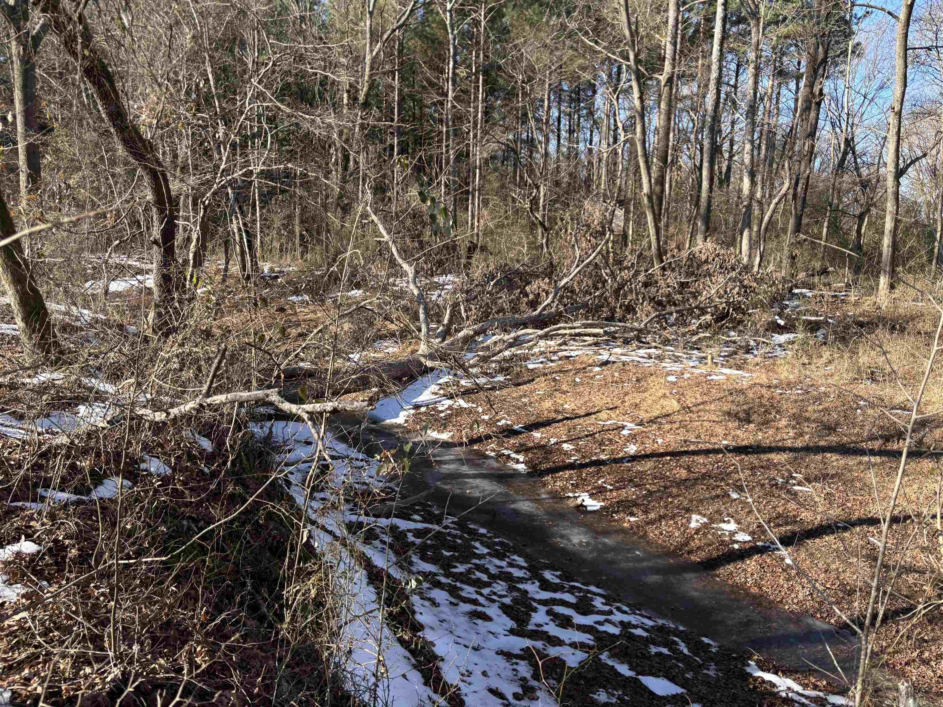 000 16 North  Albion, AR