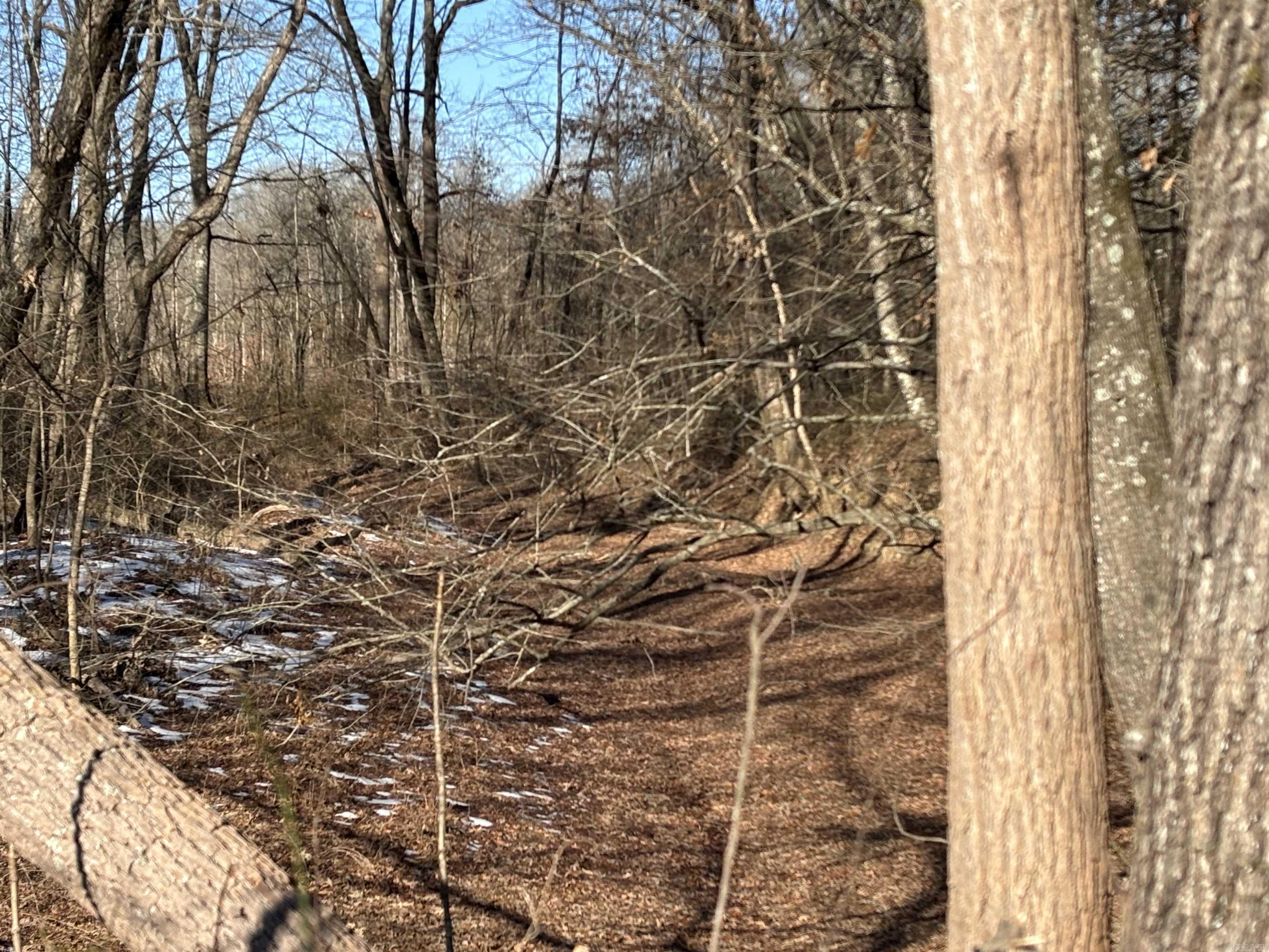 000 16 North  Albion, AR