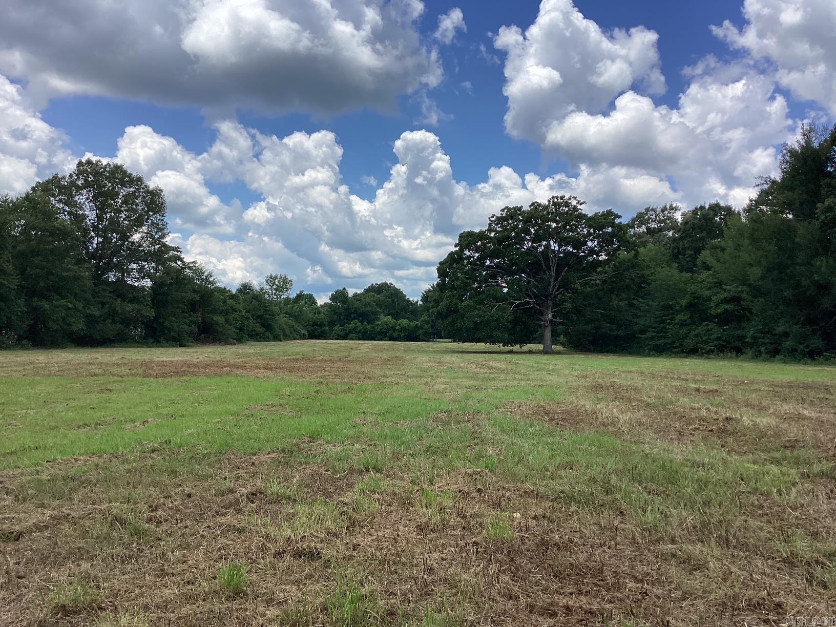  W Ave E. 41 acres  Hope, AR