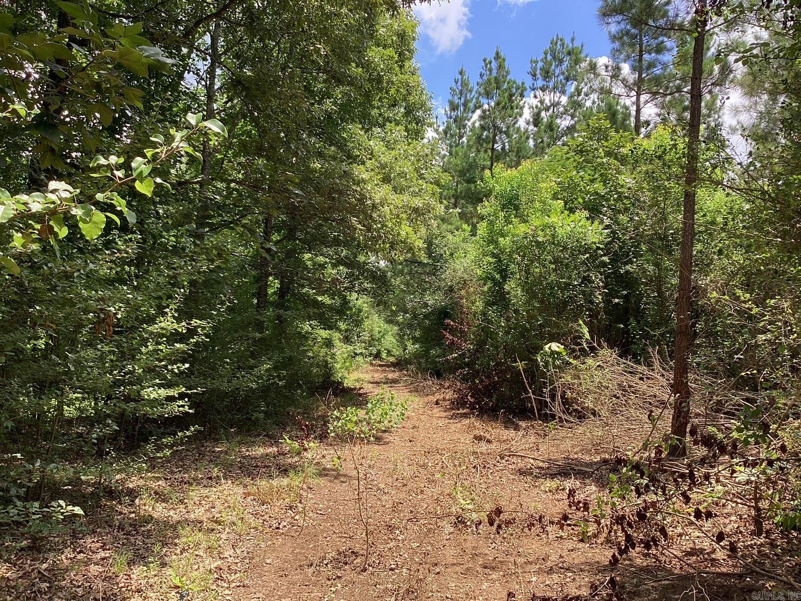  W Ave E. 41 acres  Hope, AR