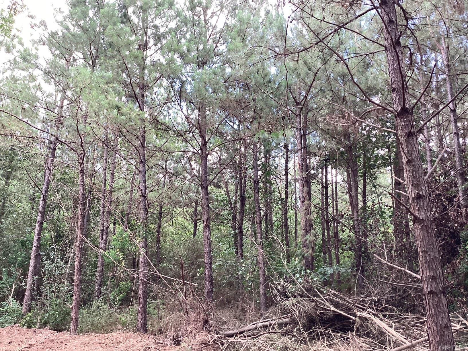  W Ave E. 41 acres  Hope, AR