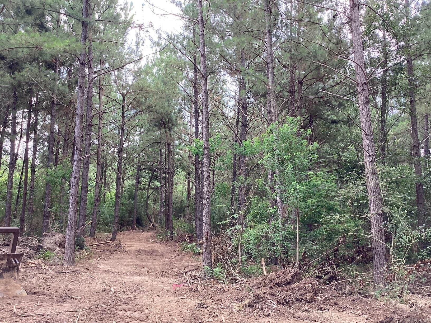 W Ave E. 41 acres  Hope, AR
