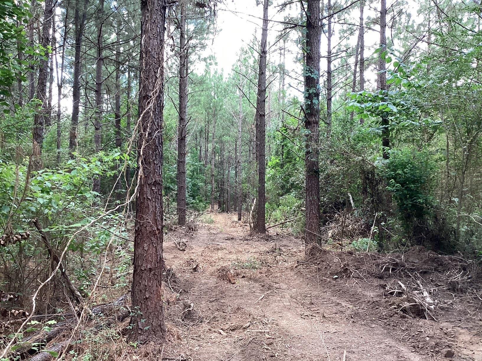  W Ave E. 41 acres  Hope, AR