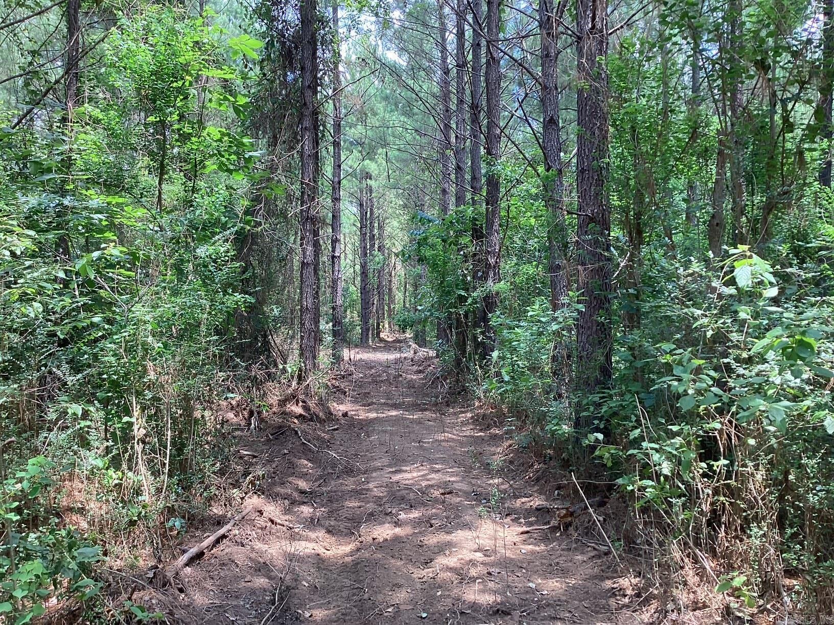  W Ave E. 41 acres  Hope, AR