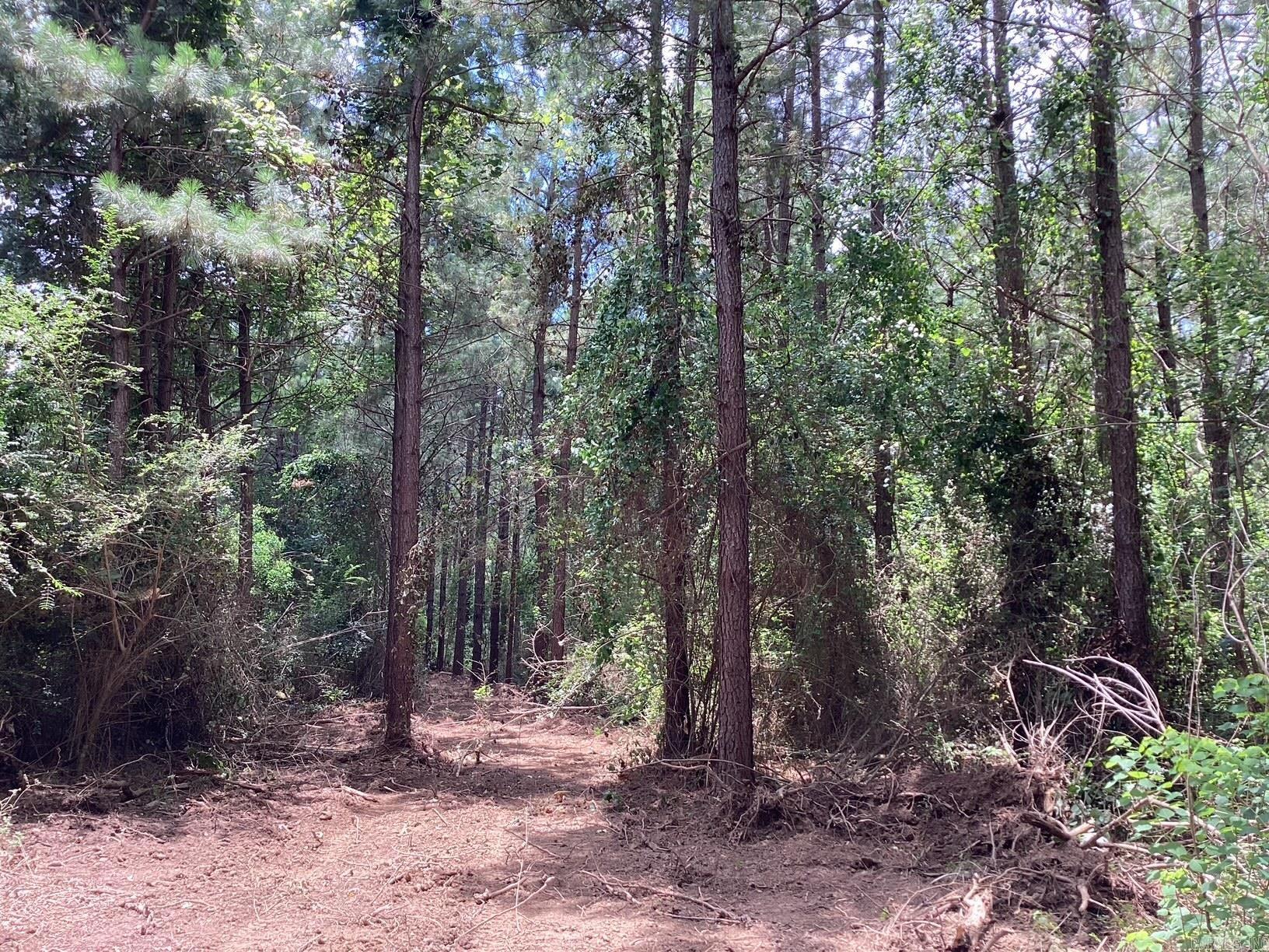  W Ave E. 41 acres  Hope, AR