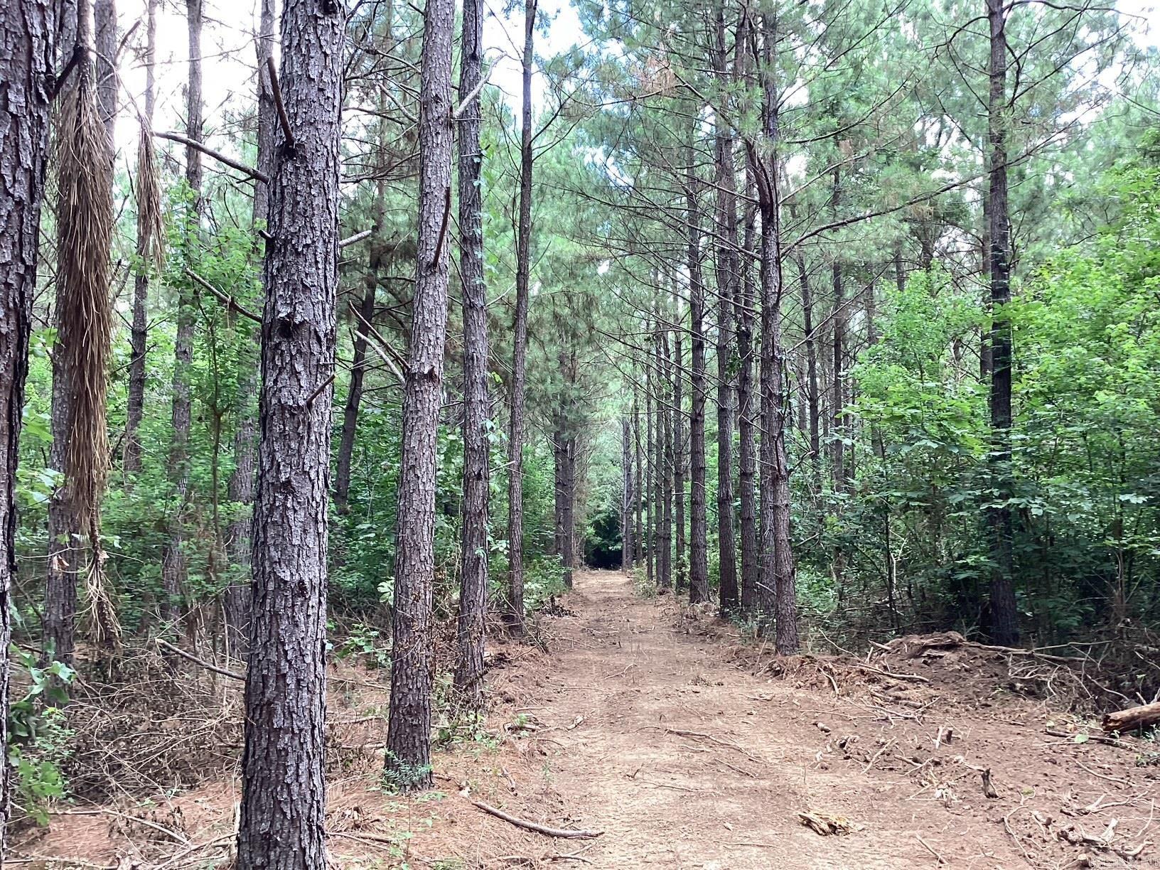  W Ave E. 41 acres  Hope, AR