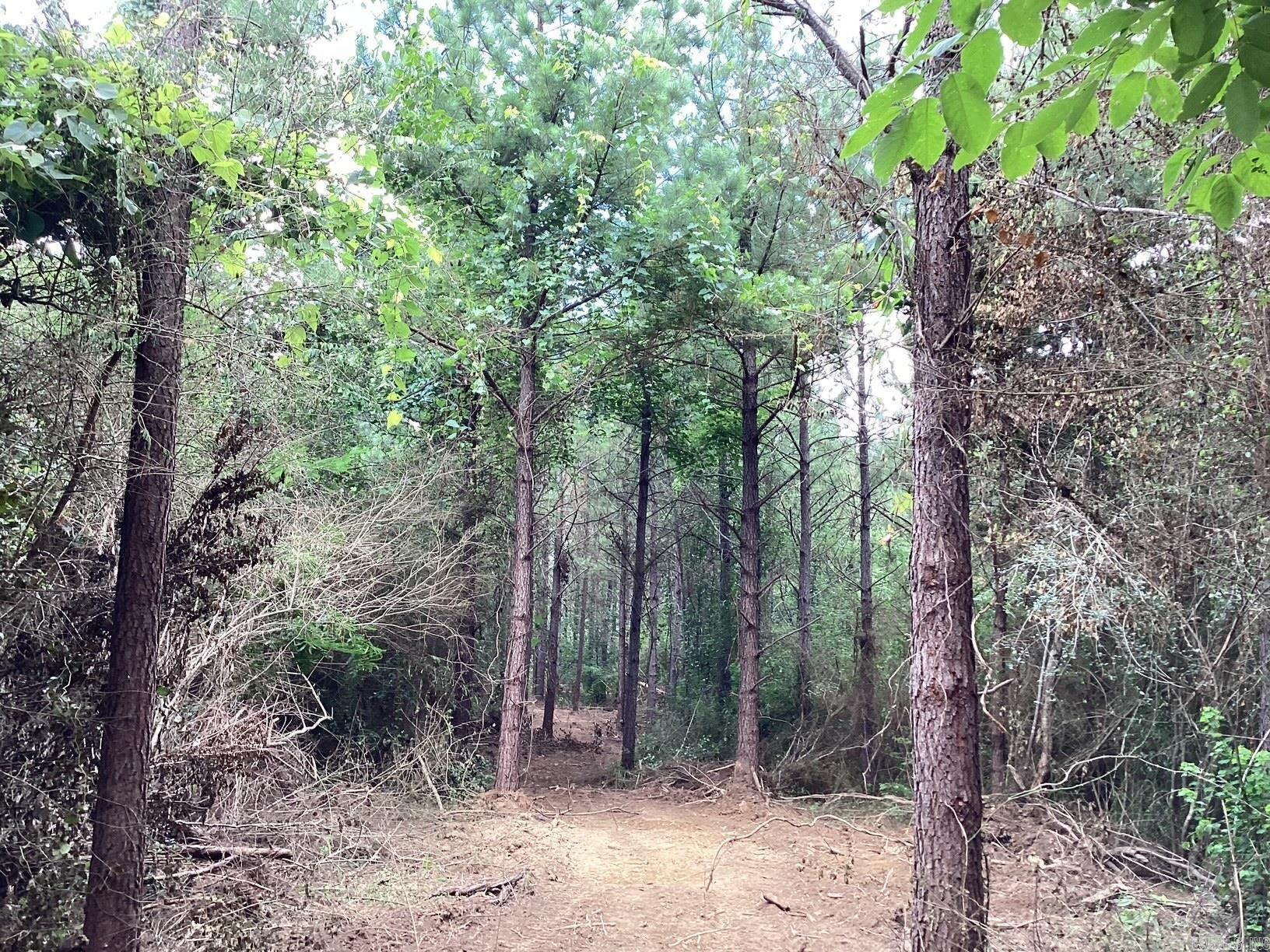  W Ave E. 41 acres  Hope, AR