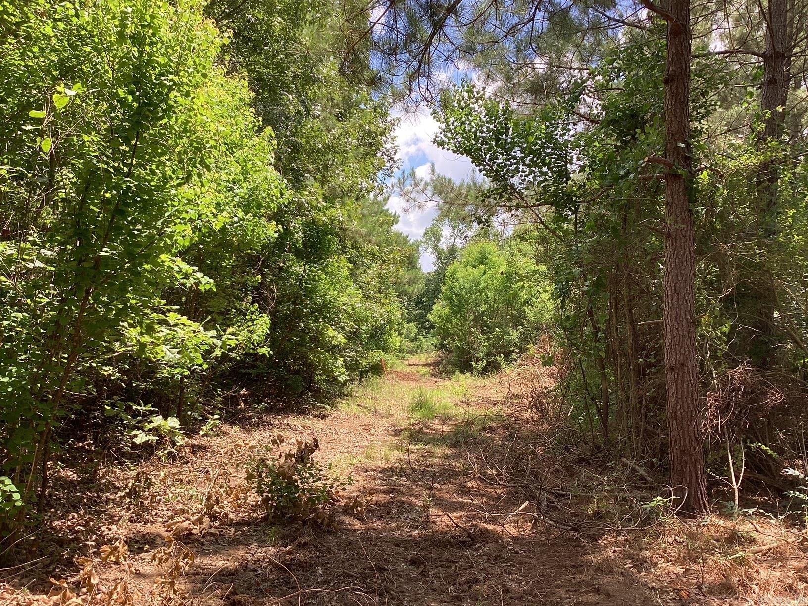  W Ave E. 41 acres  Hope, AR