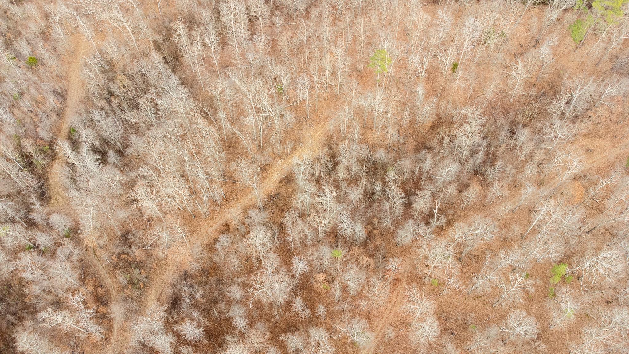 0000 Greene 747  Paragould, AR