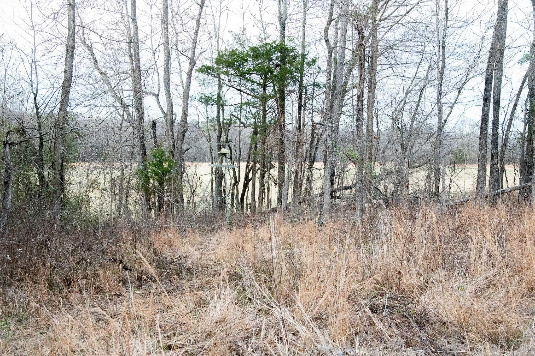 0000 Greene 747  Paragould, AR