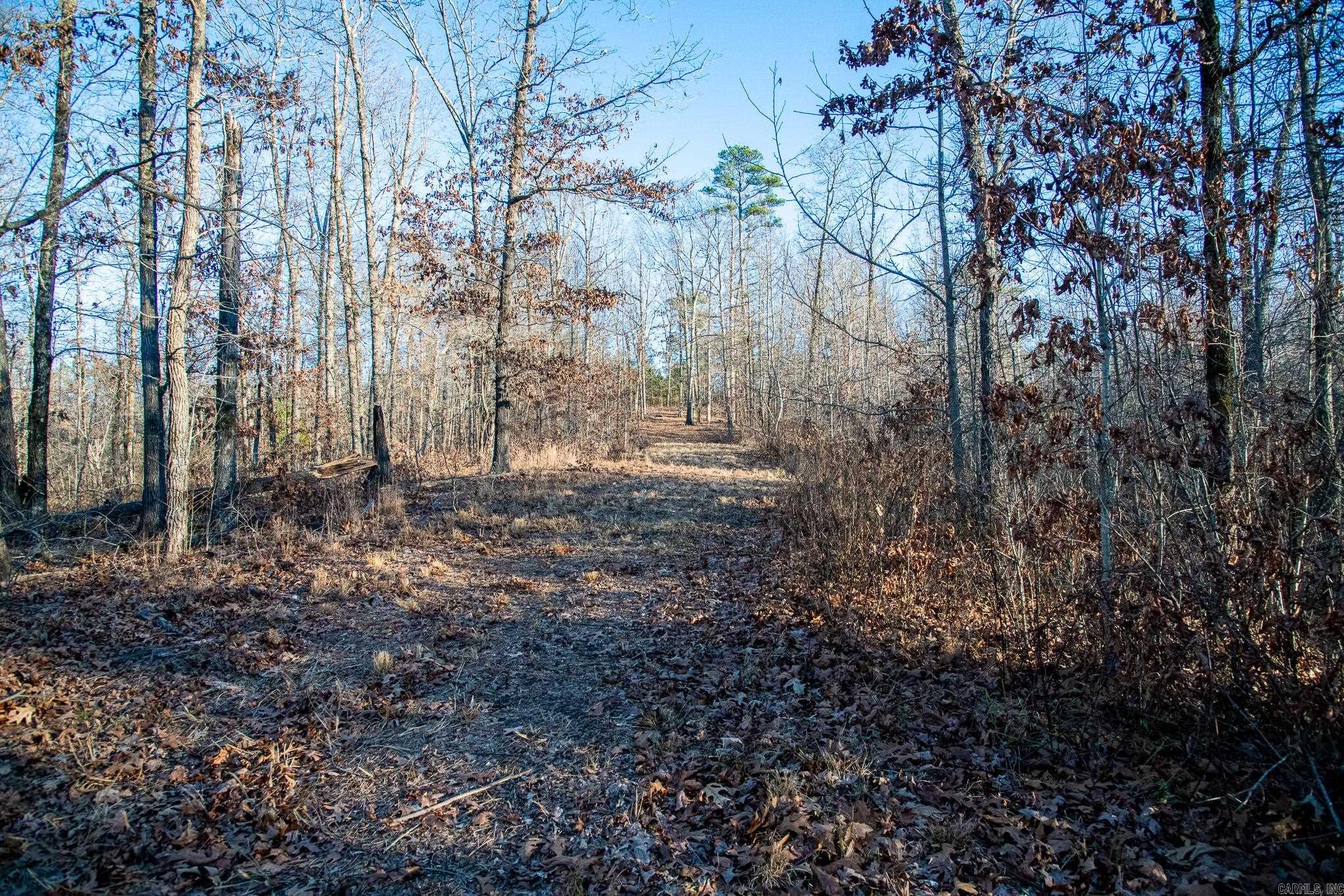 0000 Greene 747  Paragould, AR