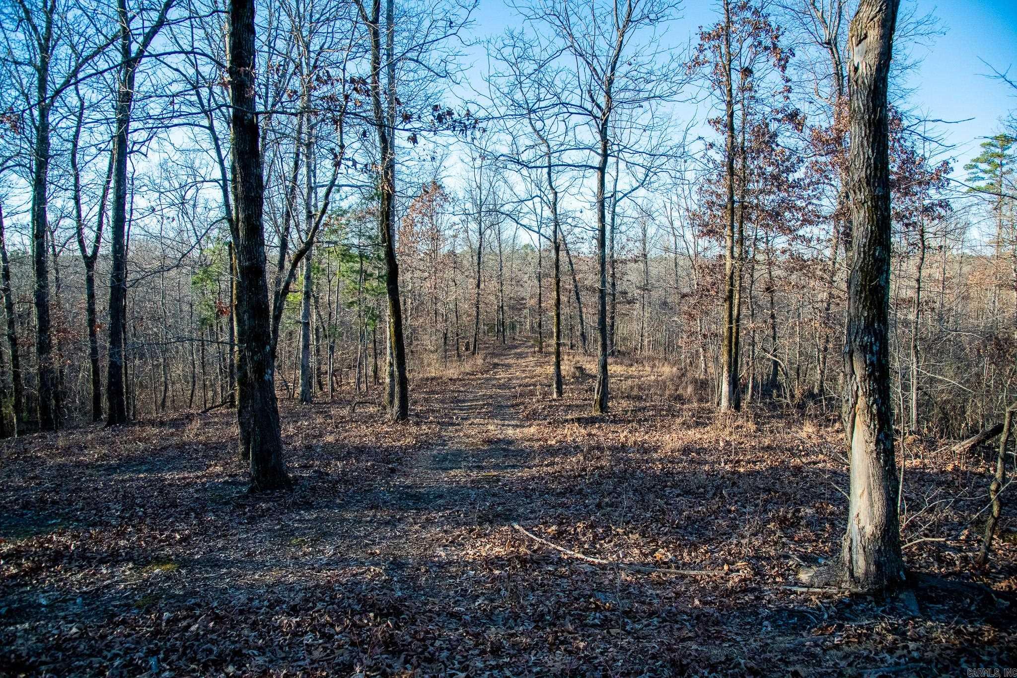 0000 Greene 747  Paragould, AR