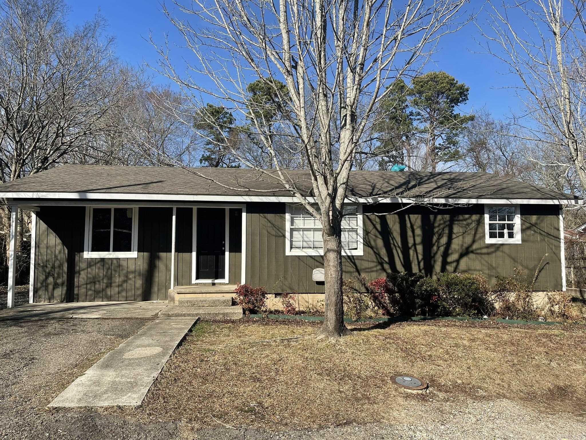 1111 Averitt Avenue  Mena, AR