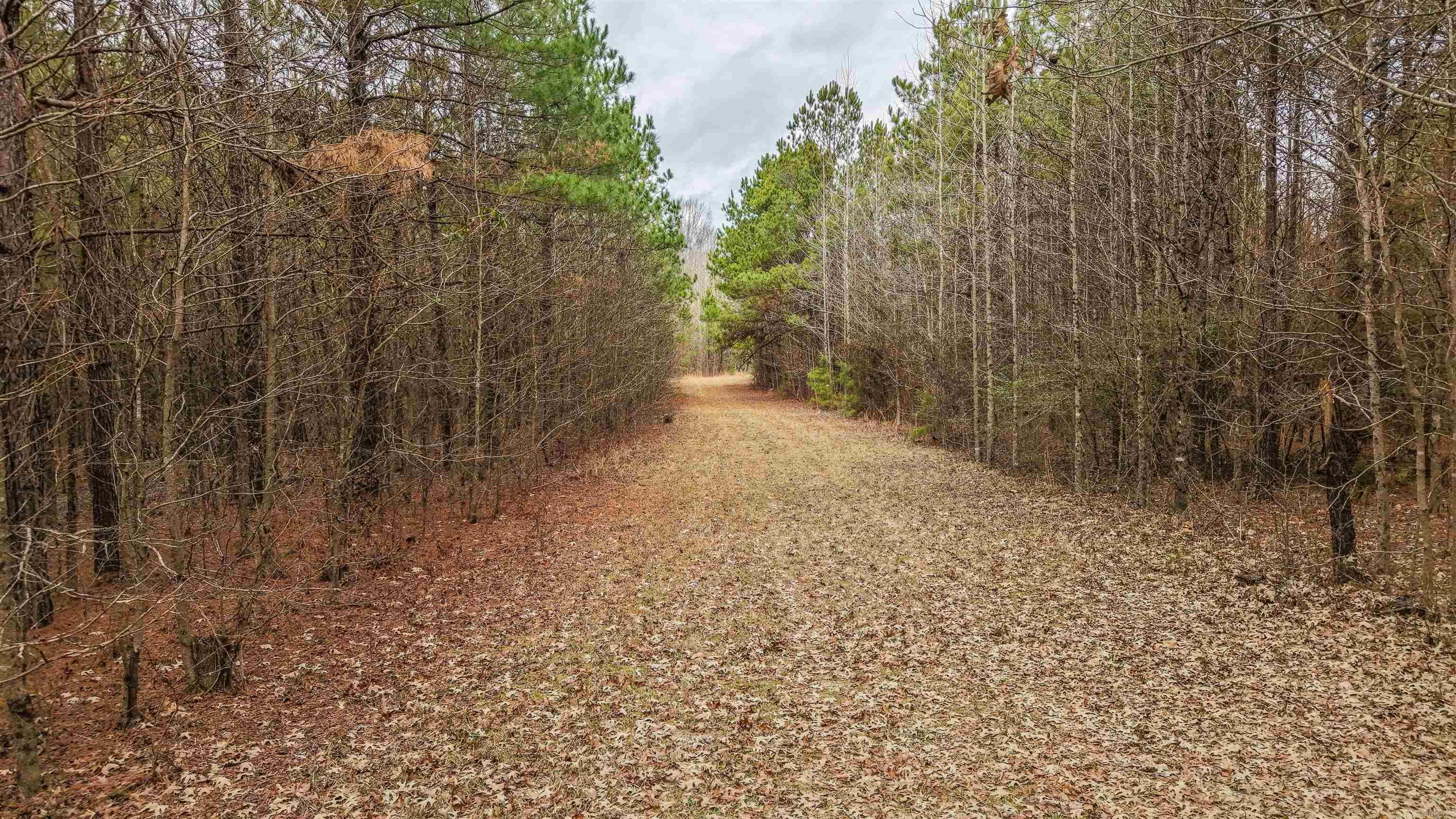 Lot 48 Highway 79 S  Pine Bluff, AR