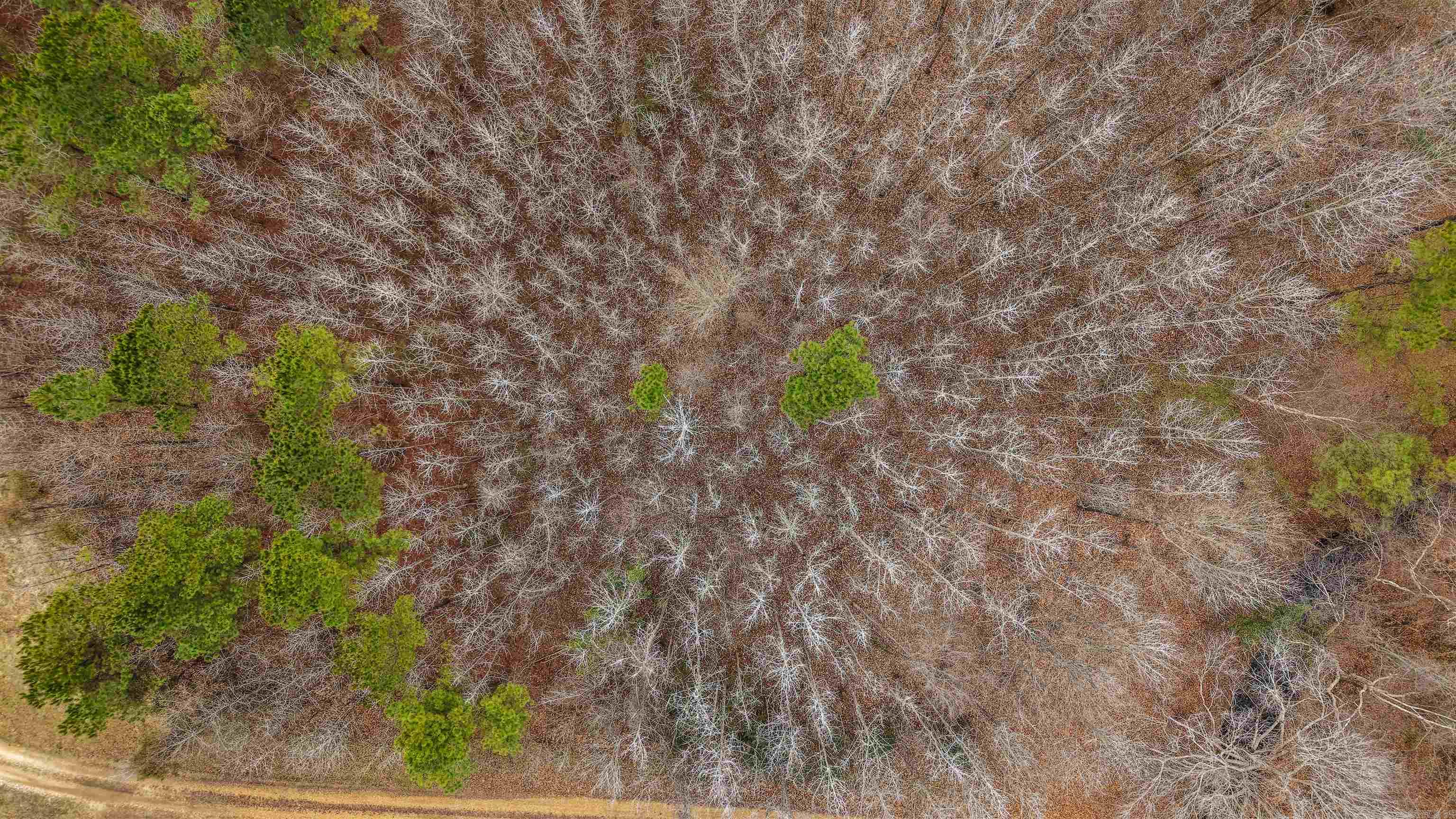 Lot 48 Highway 79 S  Pine Bluff, AR