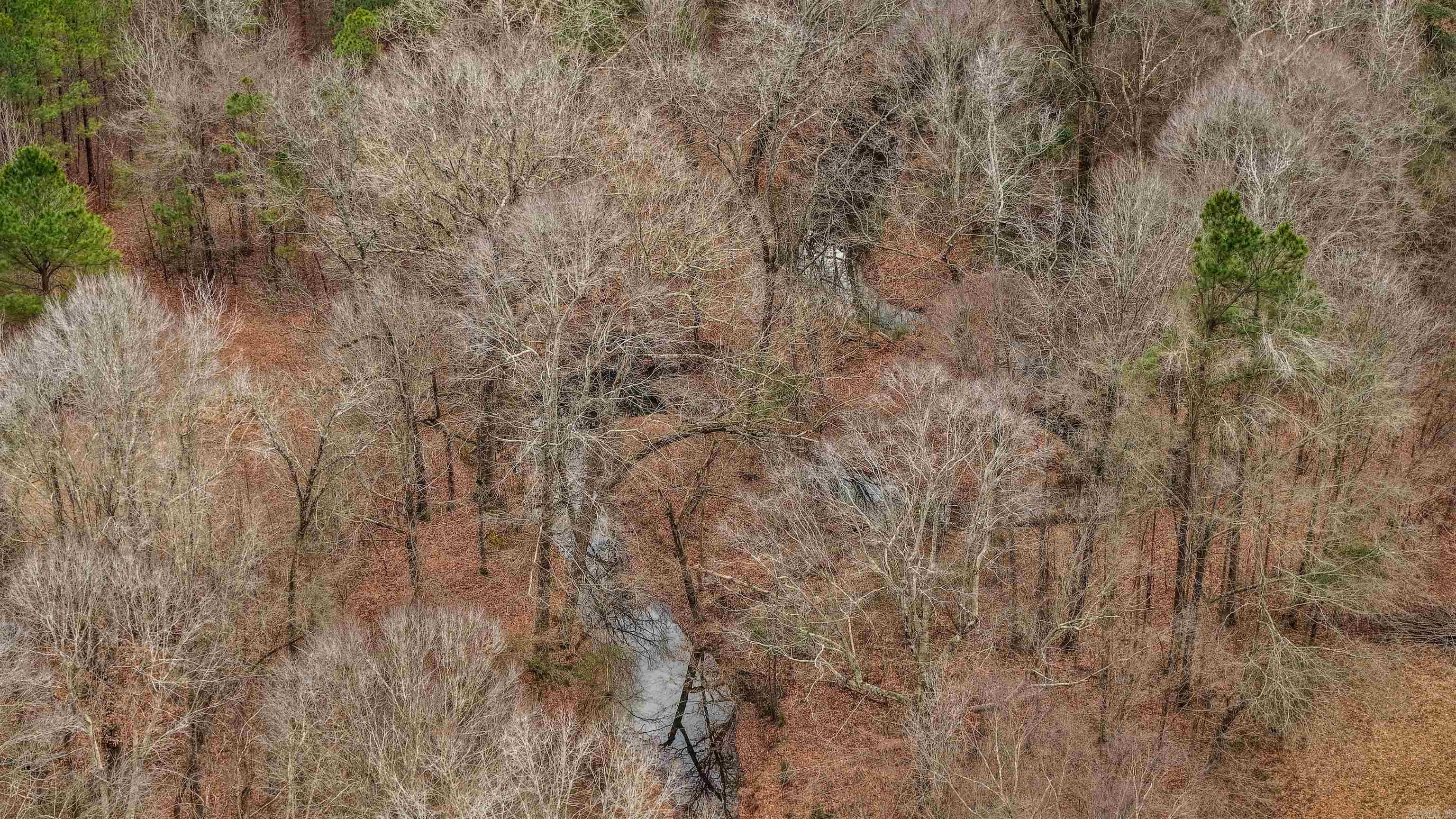 Lot 48 Highway 79 S  Pine Bluff, AR