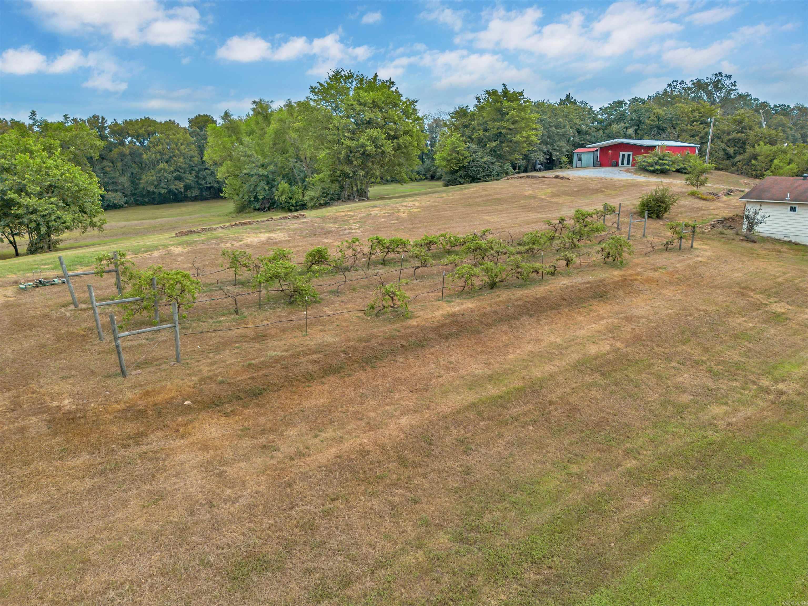 99 Sandtown  Morrilton, AR