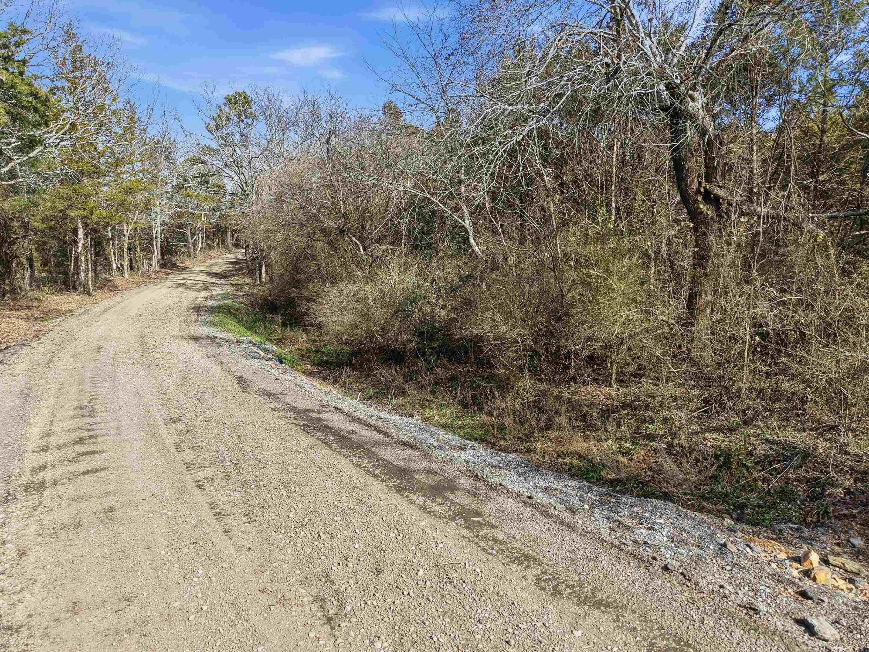 00 Roger Wooten  Springfield, AR