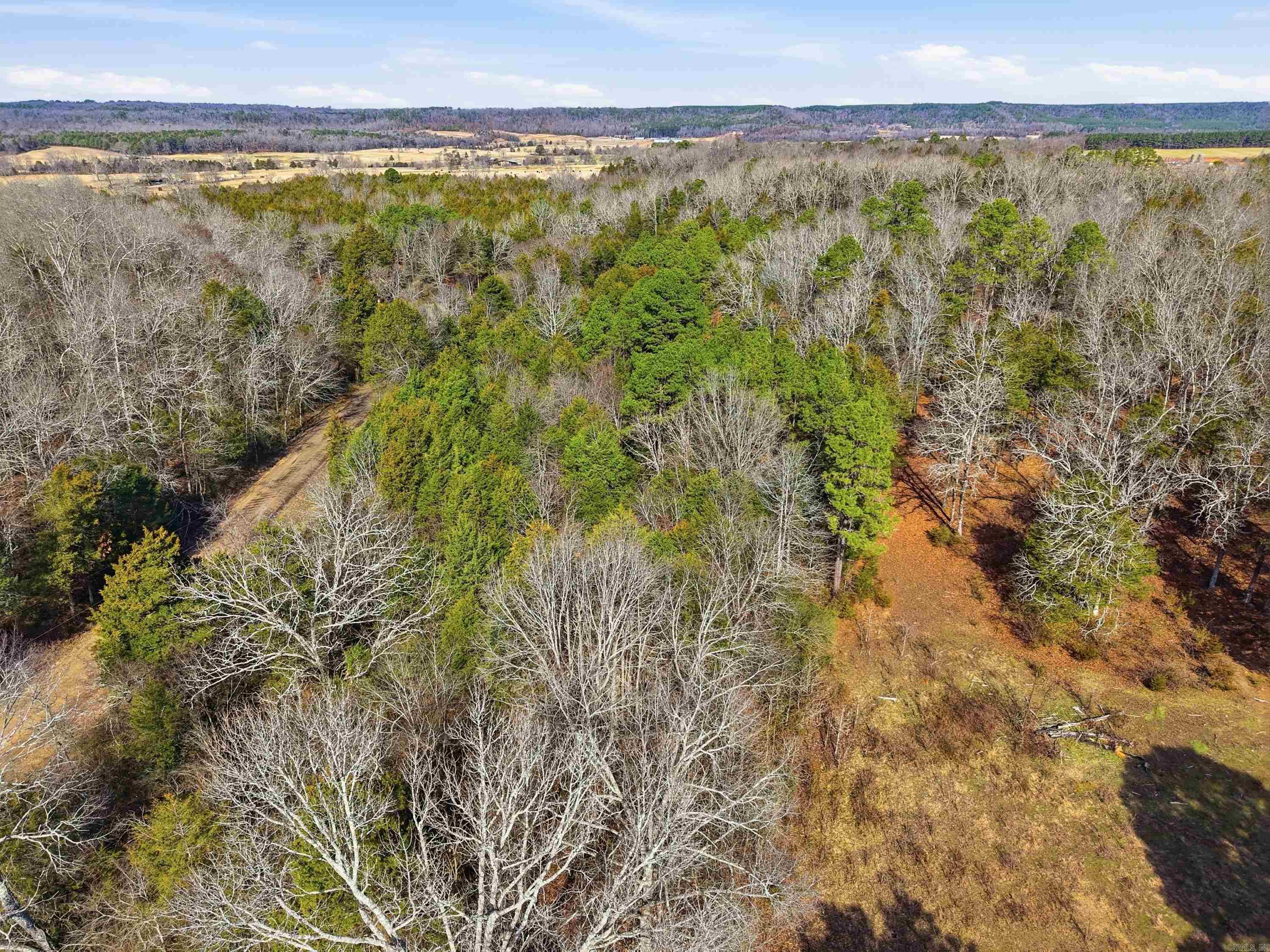 00 Roger Wooten  Springfield, AR