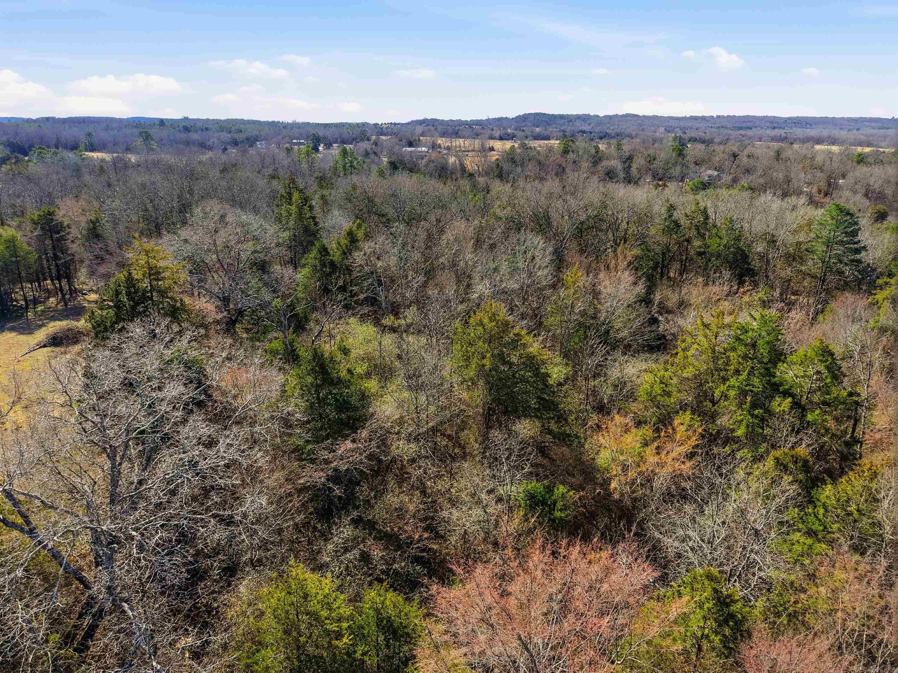 00 Roger Wooten  Springfield, AR