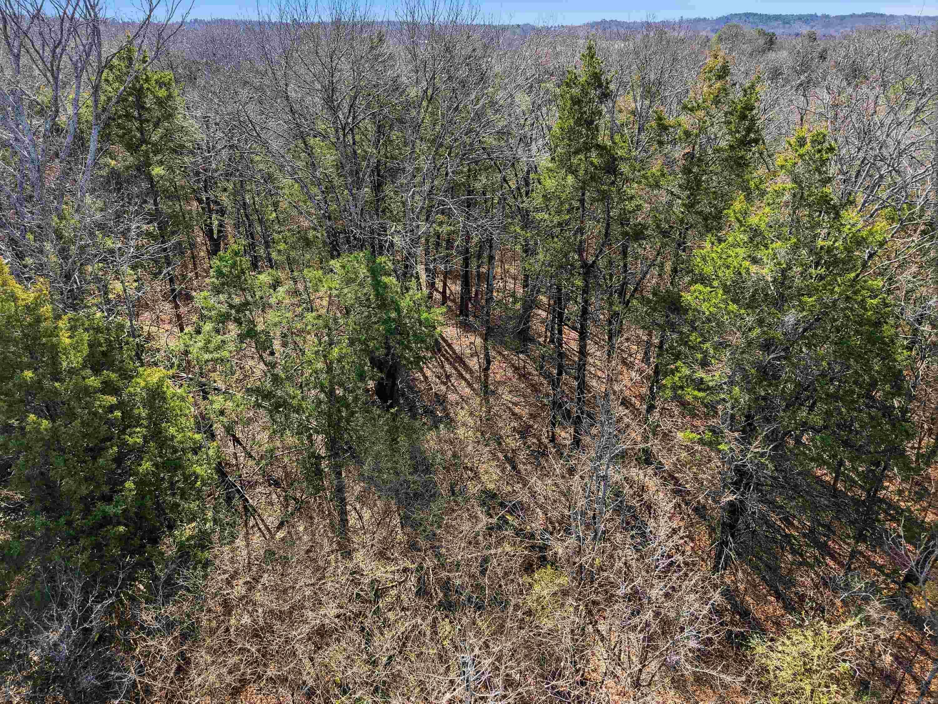 00 Roger Wooten  Springfield, AR