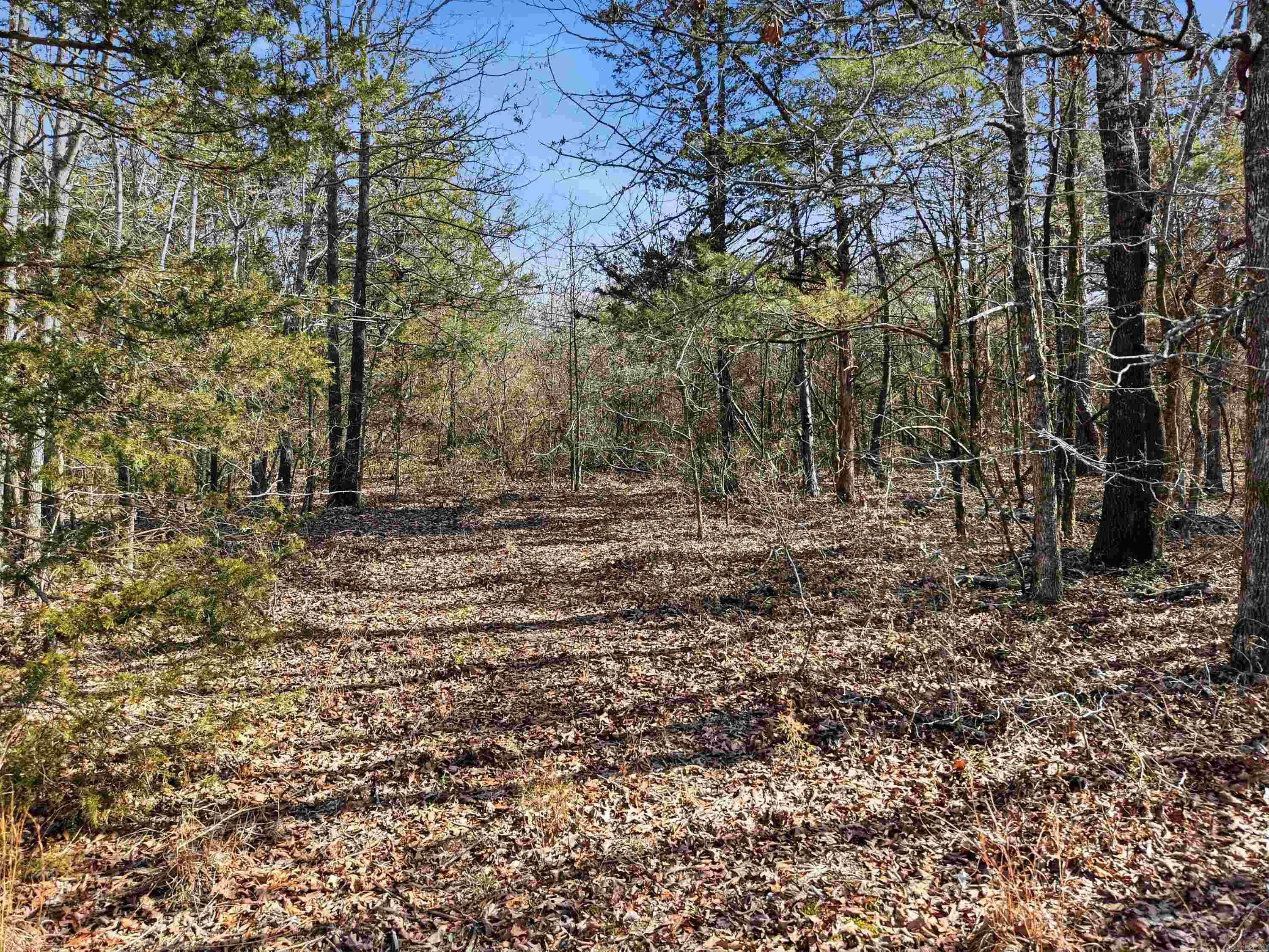 00 Roger Wooten  Springfield, AR