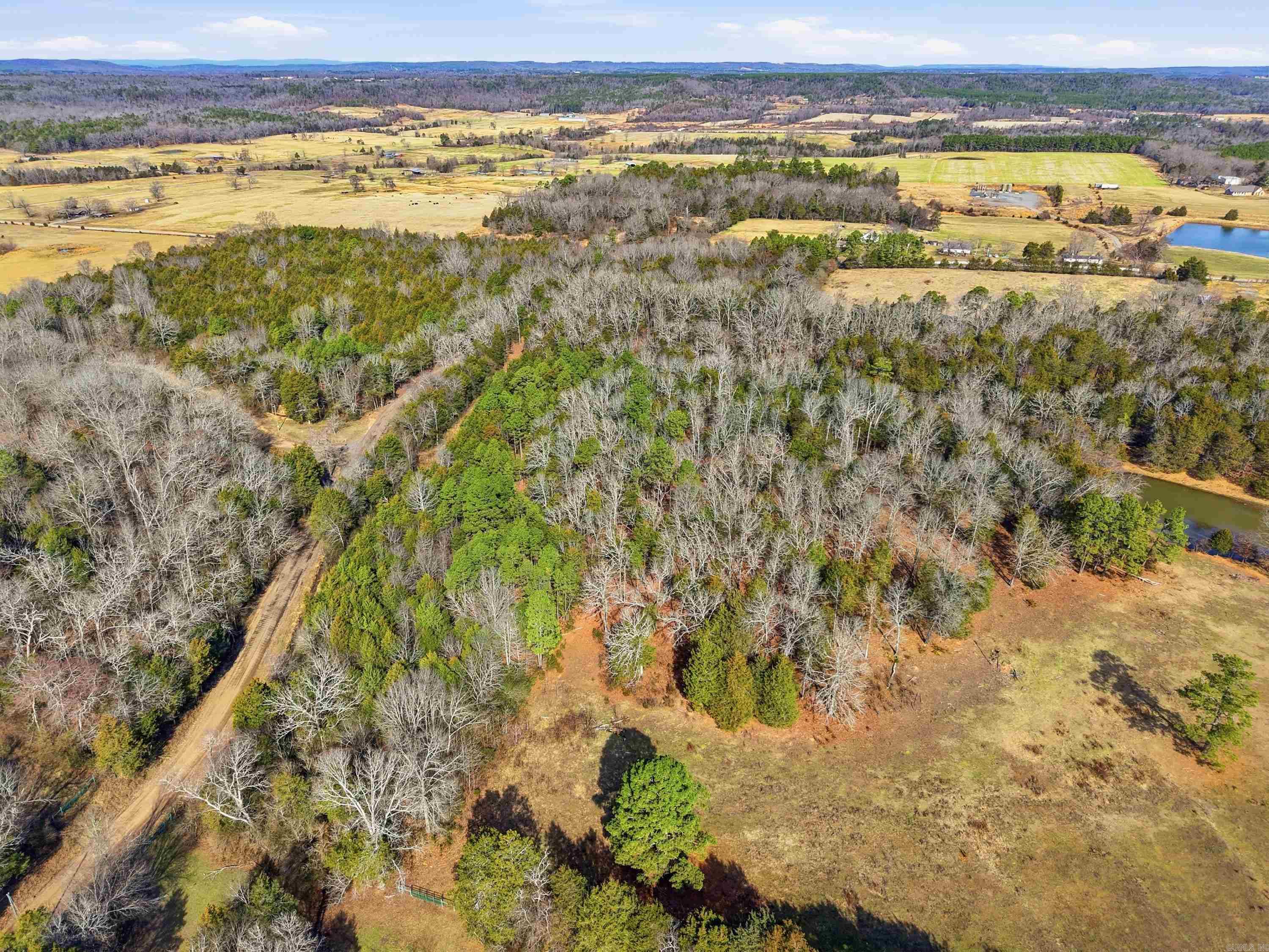 00 Roger Wooten  Springfield, AR