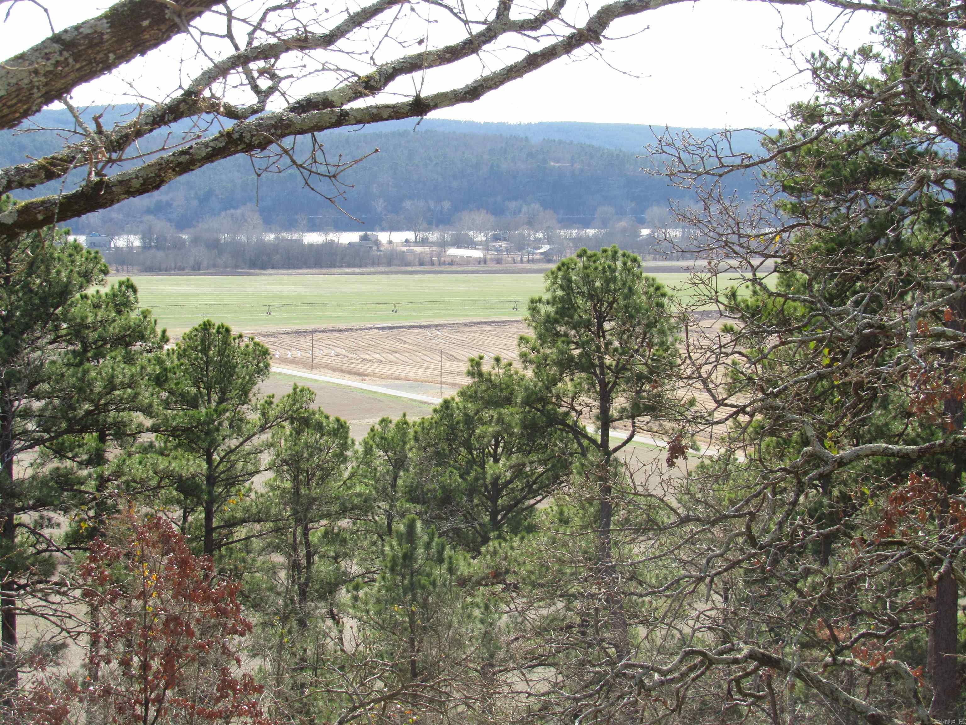 79 Jones Hill Lane  Mayflower, AR