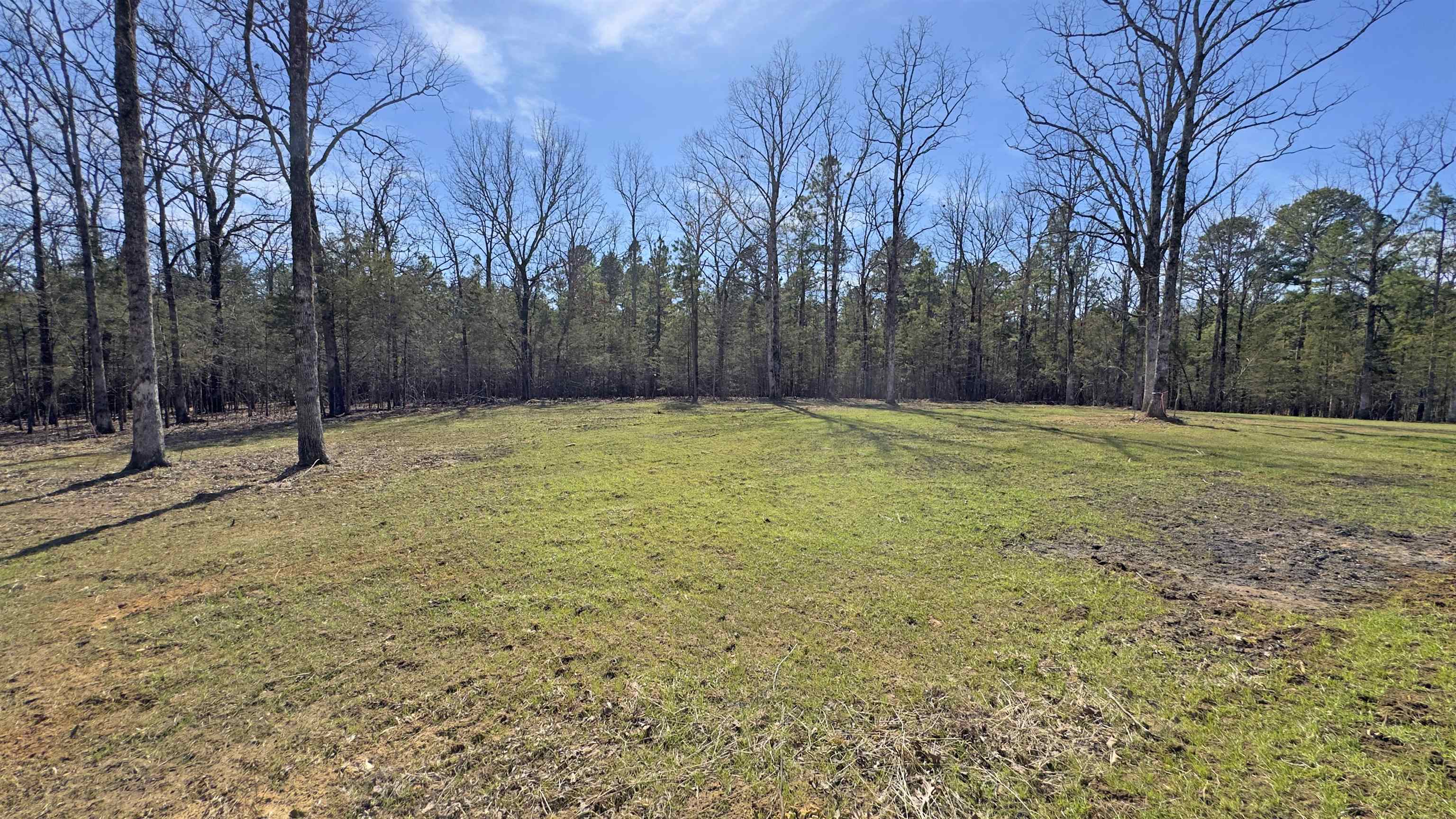 84 Pat Drive Batesville, AR 72501