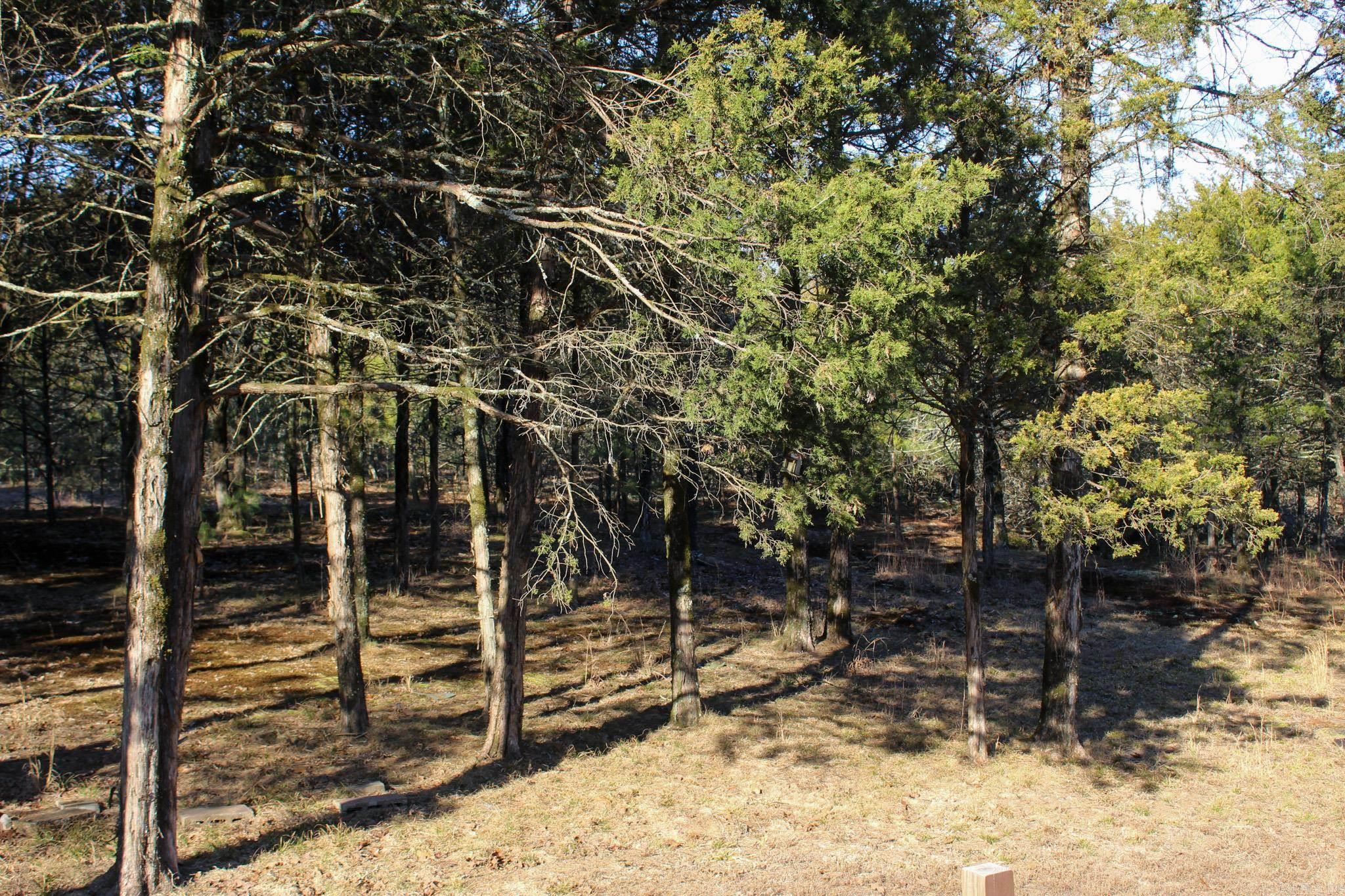 238 Salem Church  Judsonia, AR