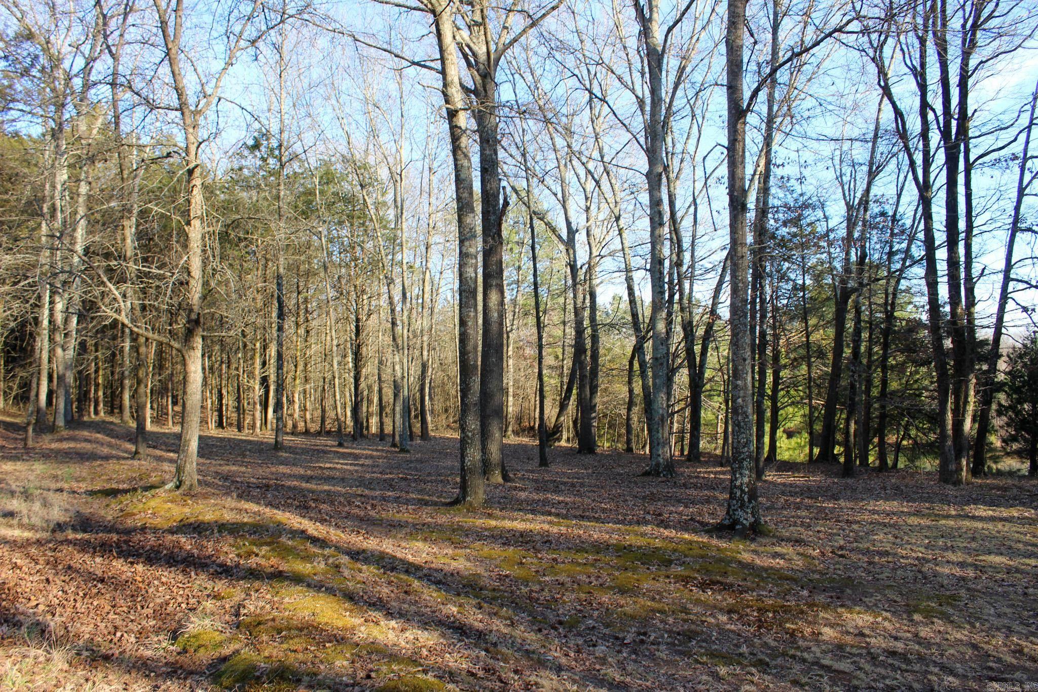 238 Salem Church  Judsonia, AR