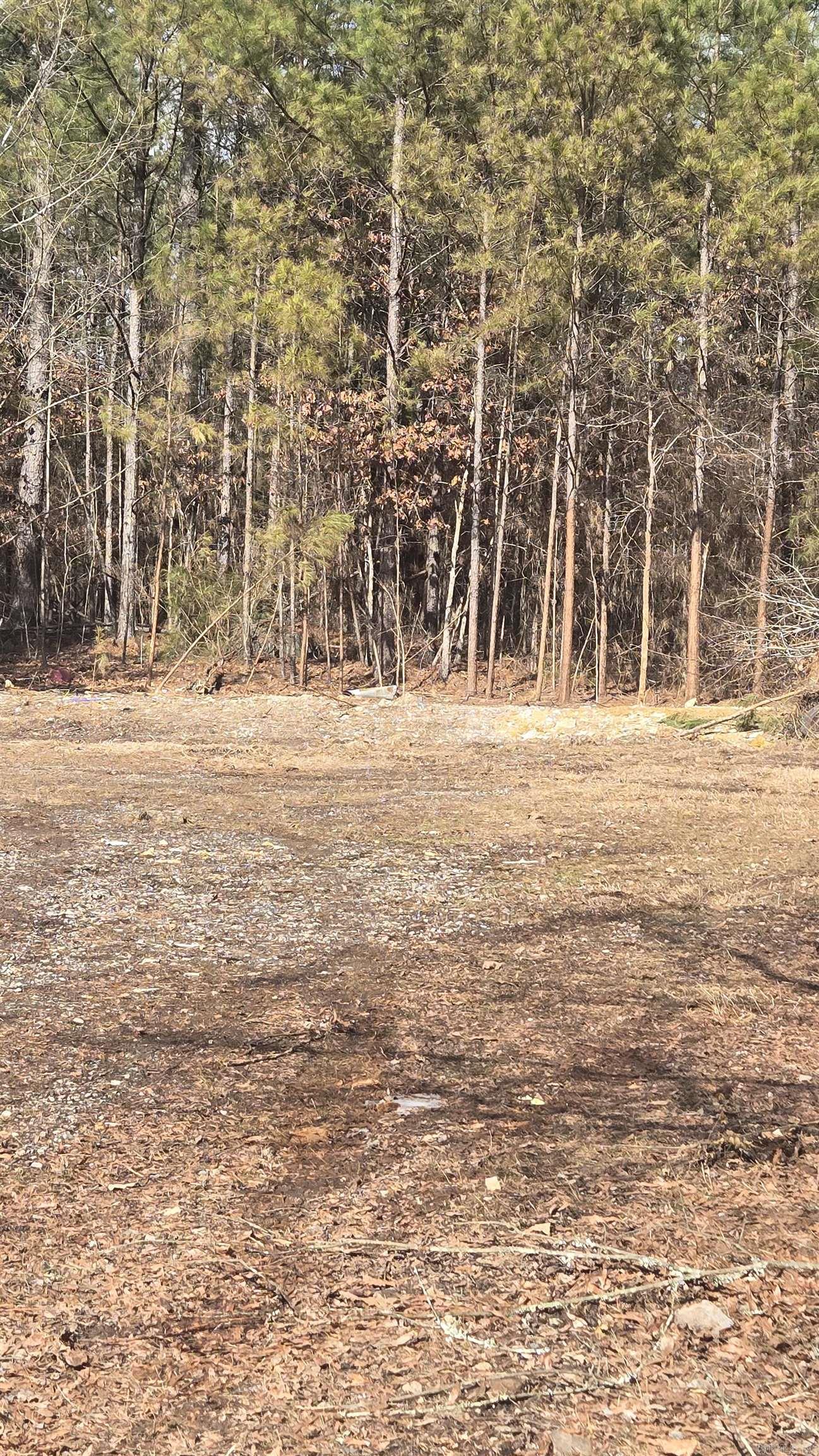 391 Joe Ford Trail  Fountain Lake, AR