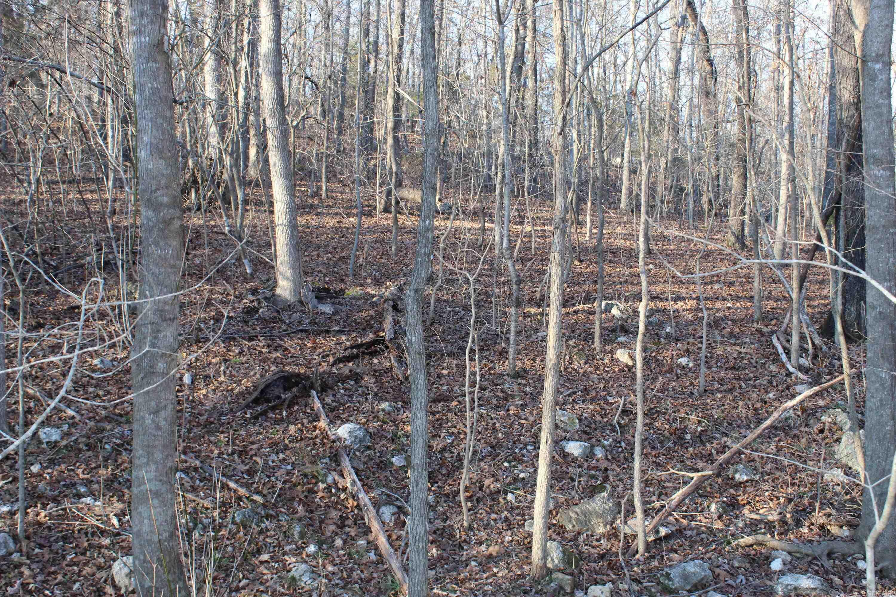 00 Hwy 289  Horseshoe Bend, AR