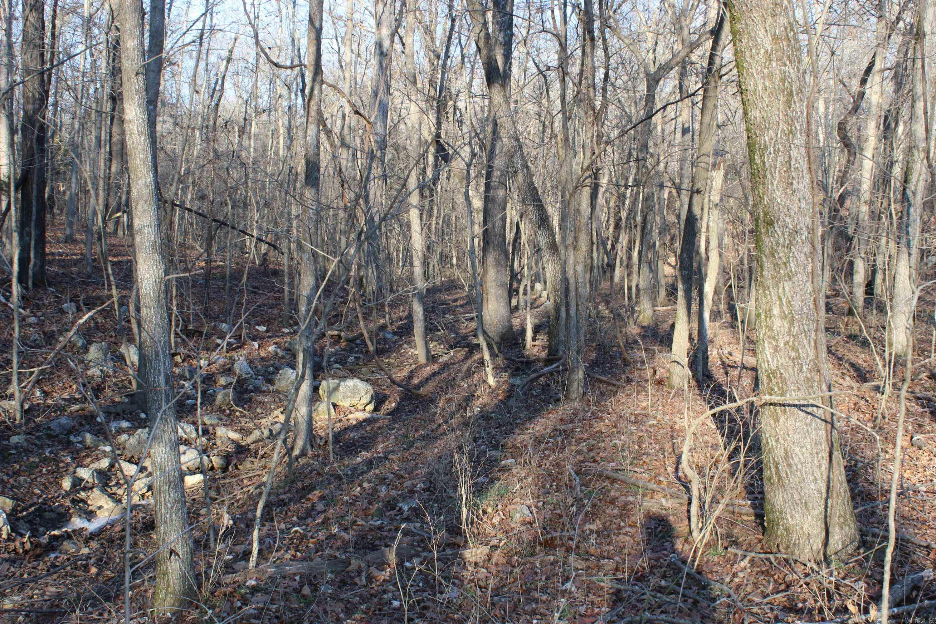 00 Hwy 289  Horseshoe Bend, AR