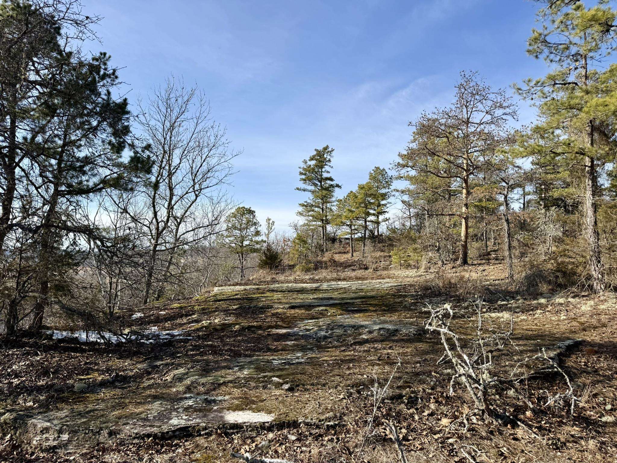 88 Rowden Street  Calico Rock, AR