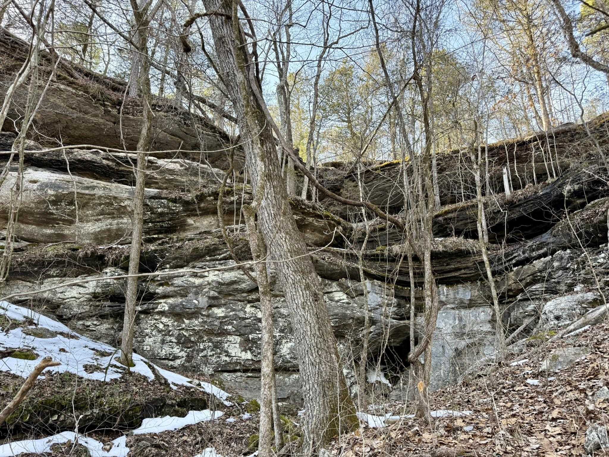 88 Rowden Street  Calico Rock, AR