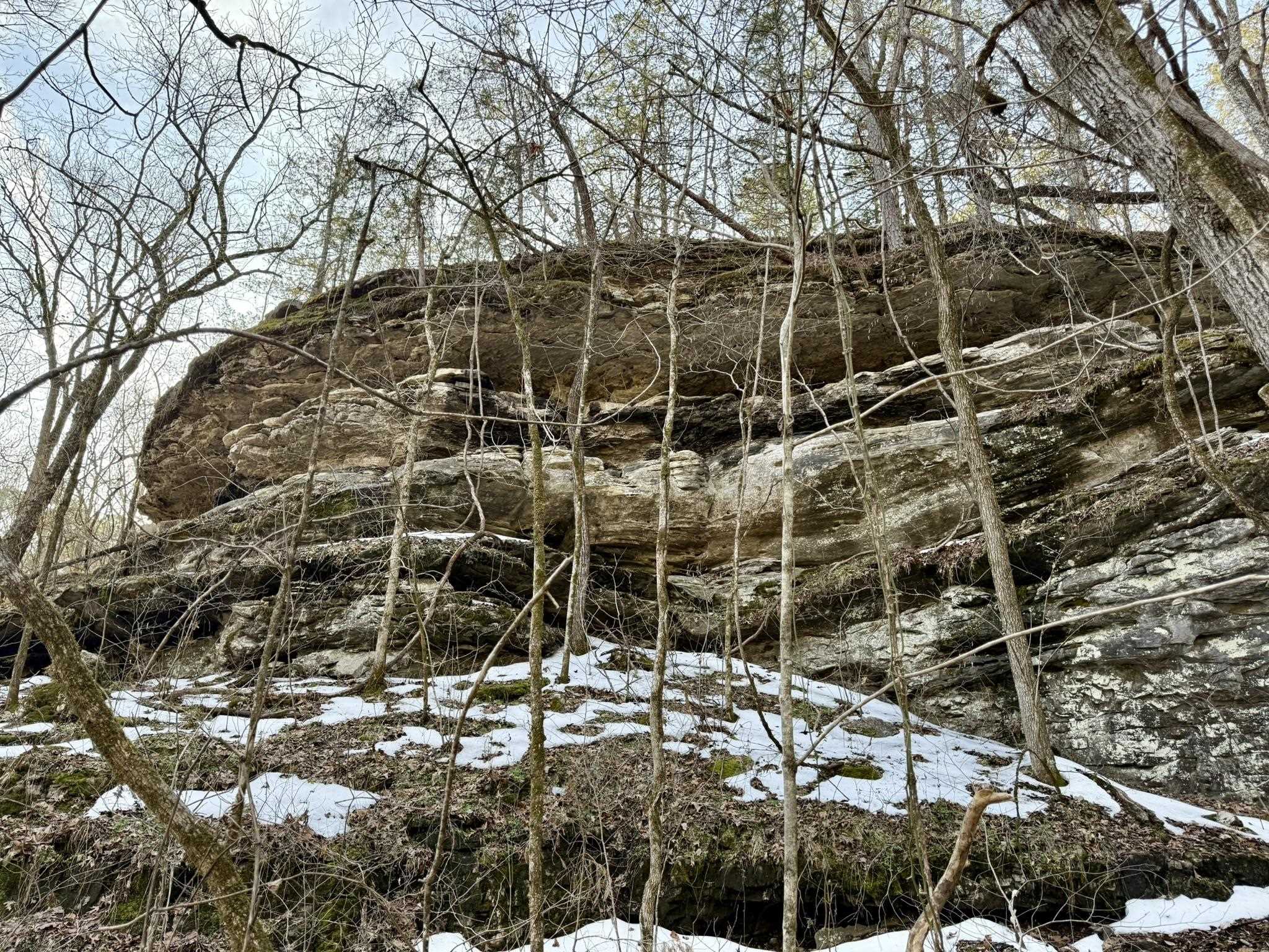 88 Rowden Street  Calico Rock, AR